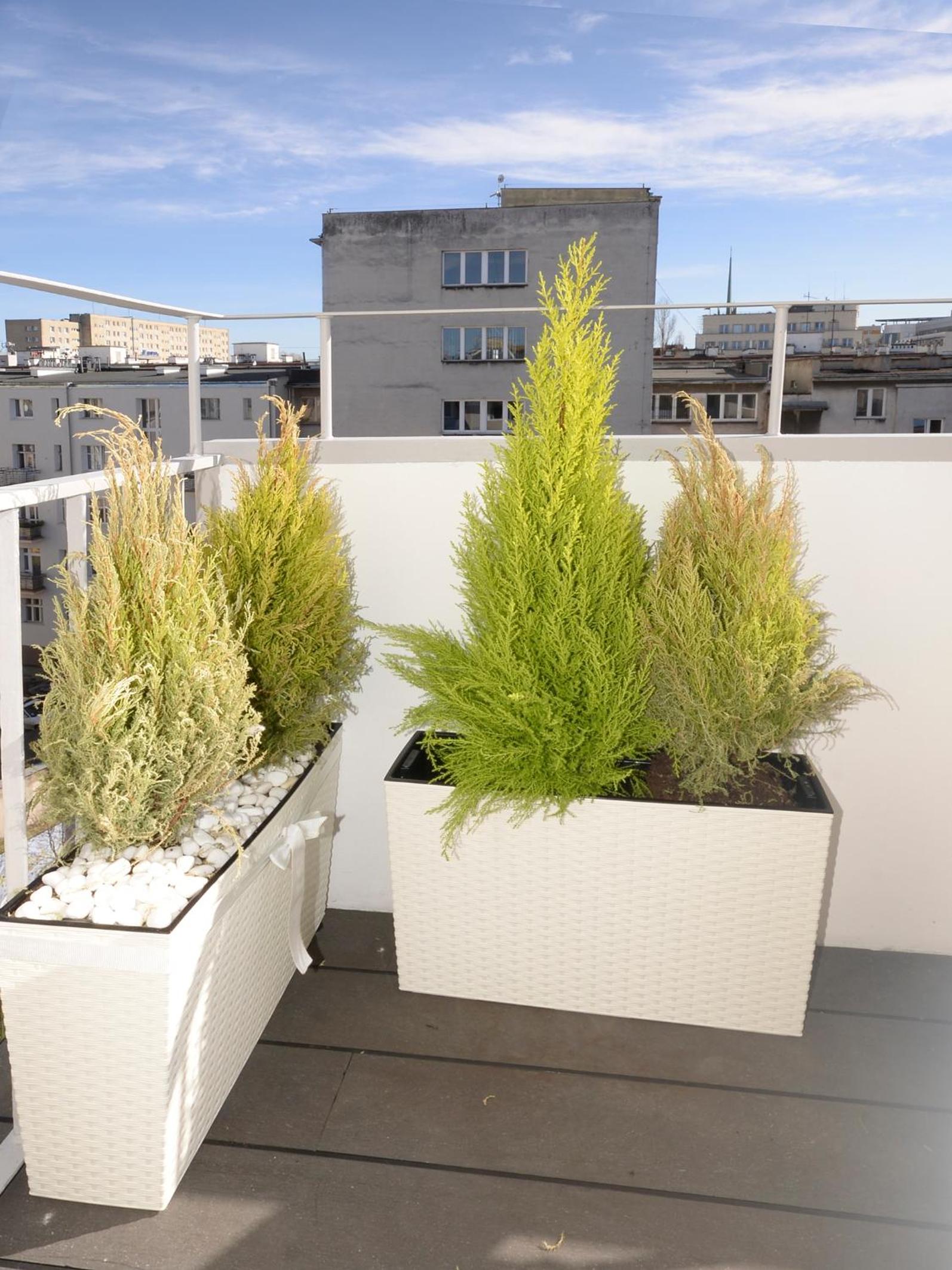 One-Bedroom Apartment - Photo 34