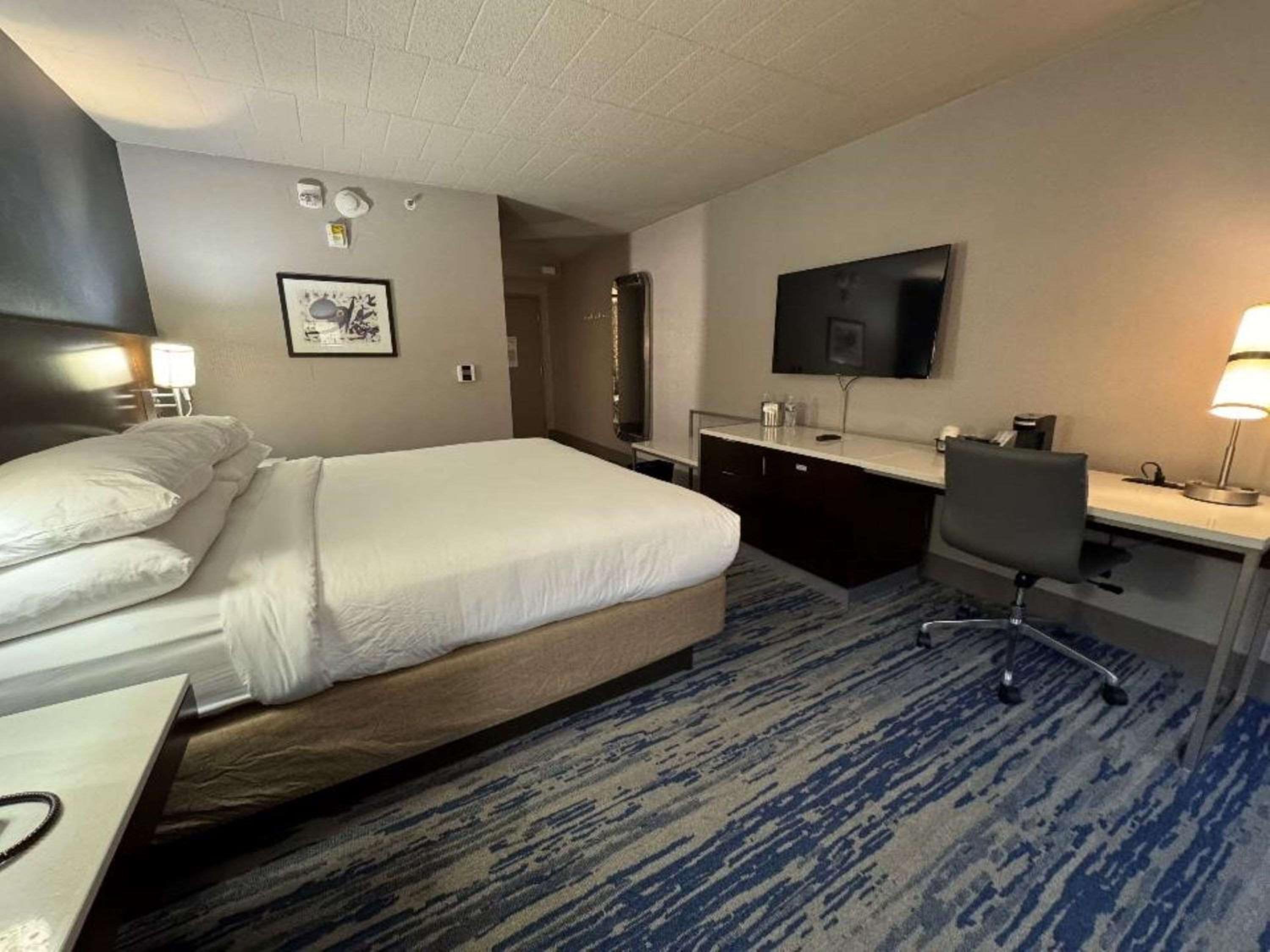King Room - Non-Smoking - Photo 8