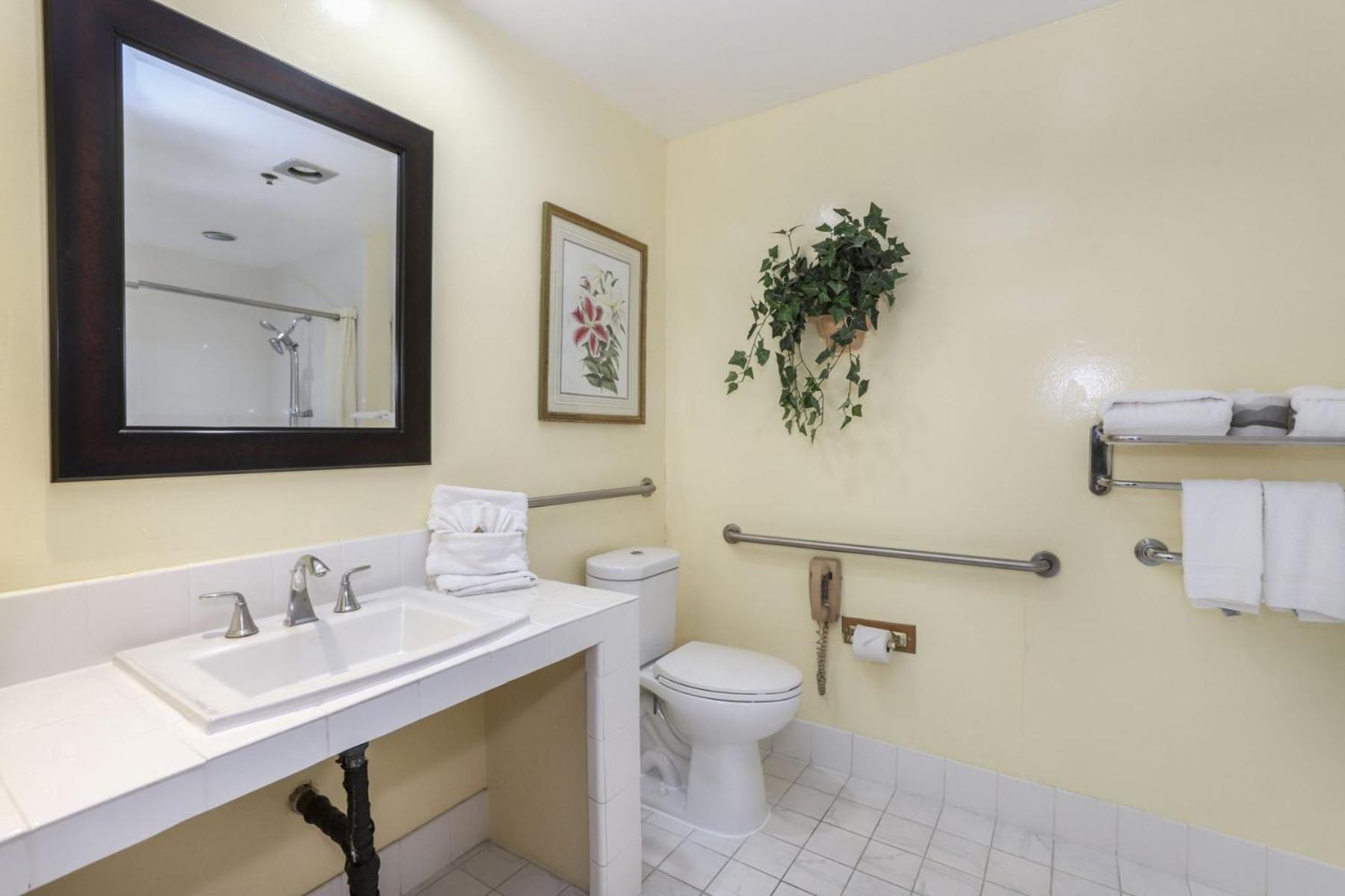 Double Room - Disability Access photo 3