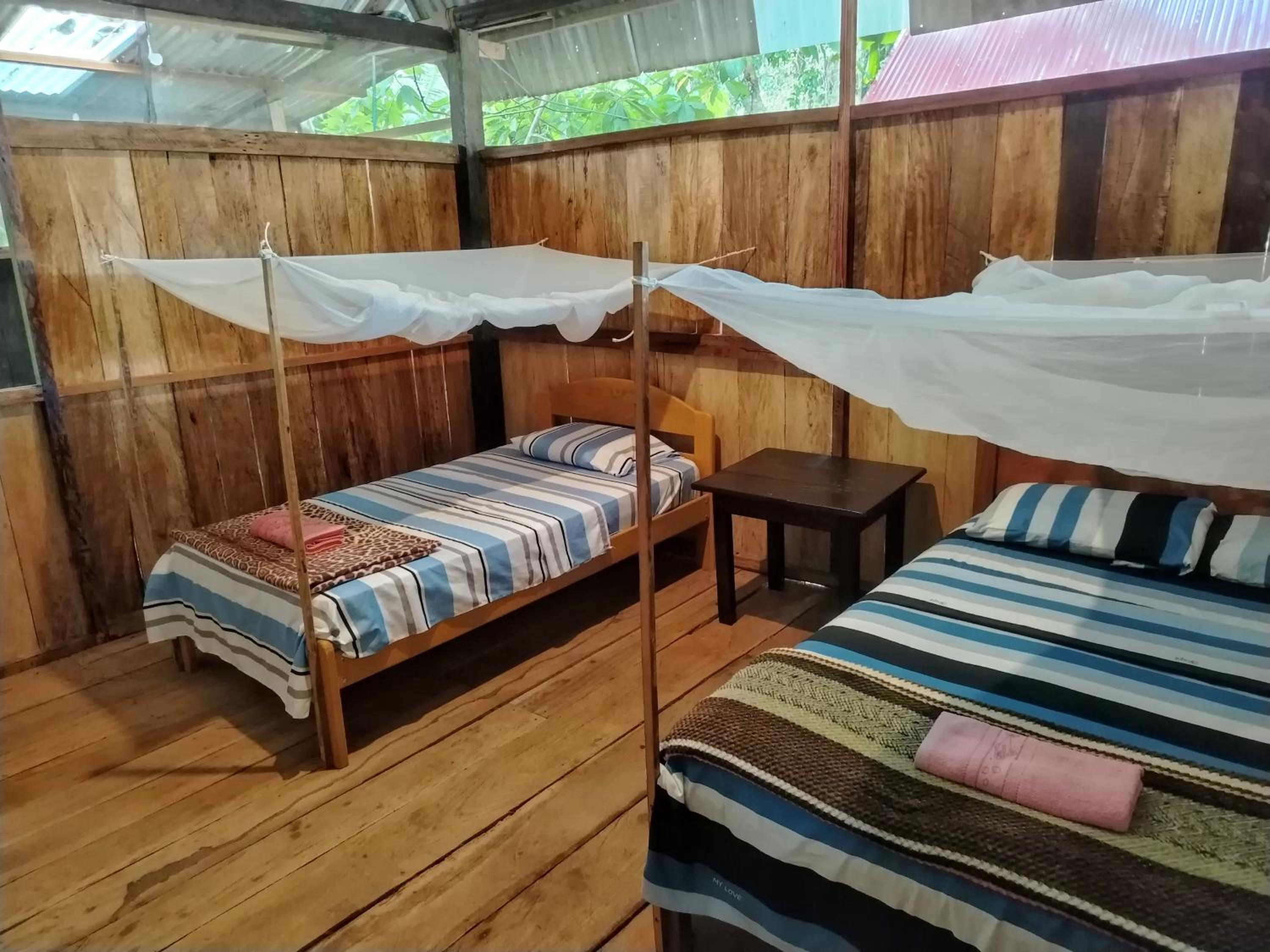 Single Bed in Female Dormitory Room photo 2