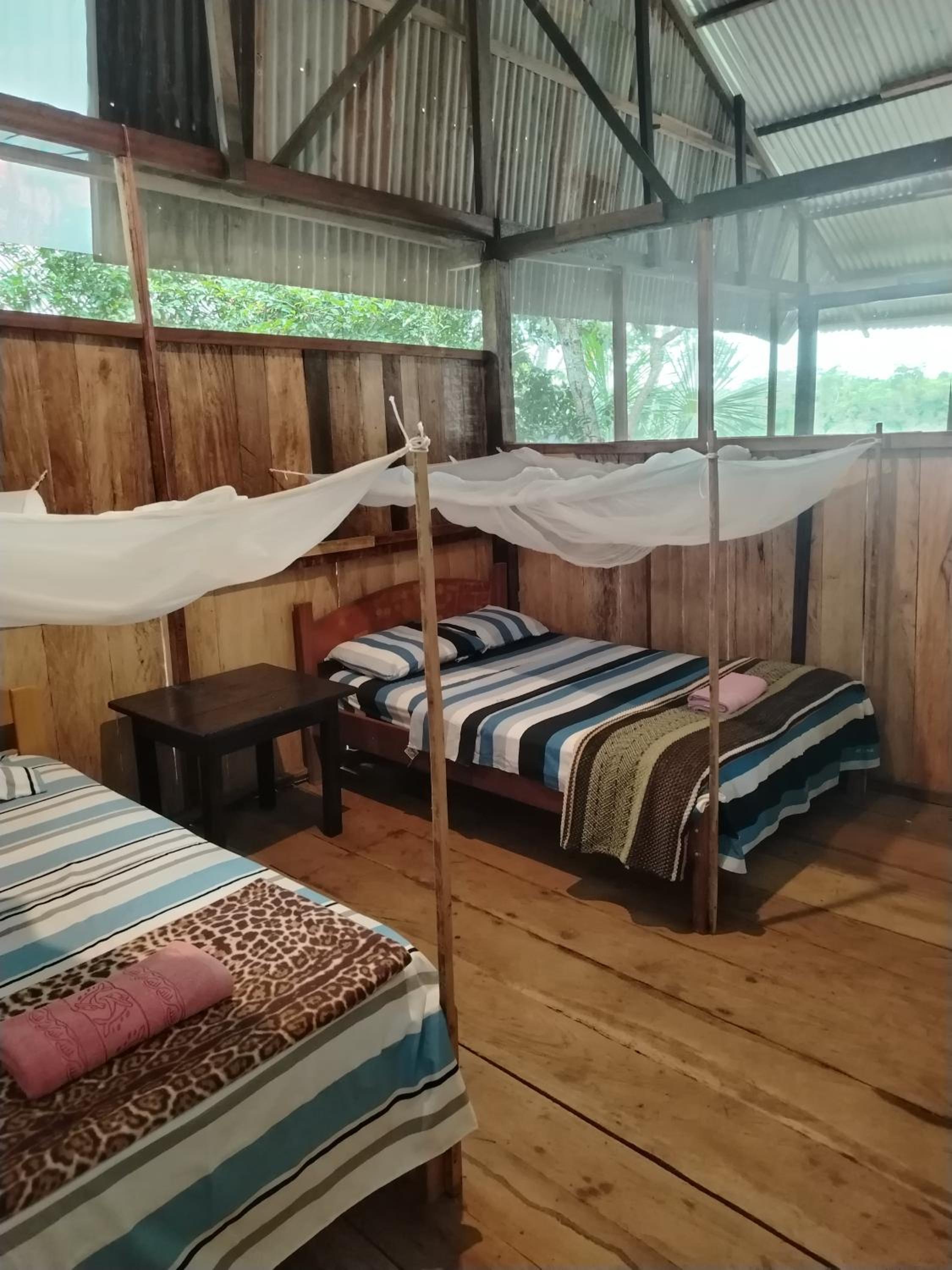 Single Bed in Male Dormitory Room photo 2