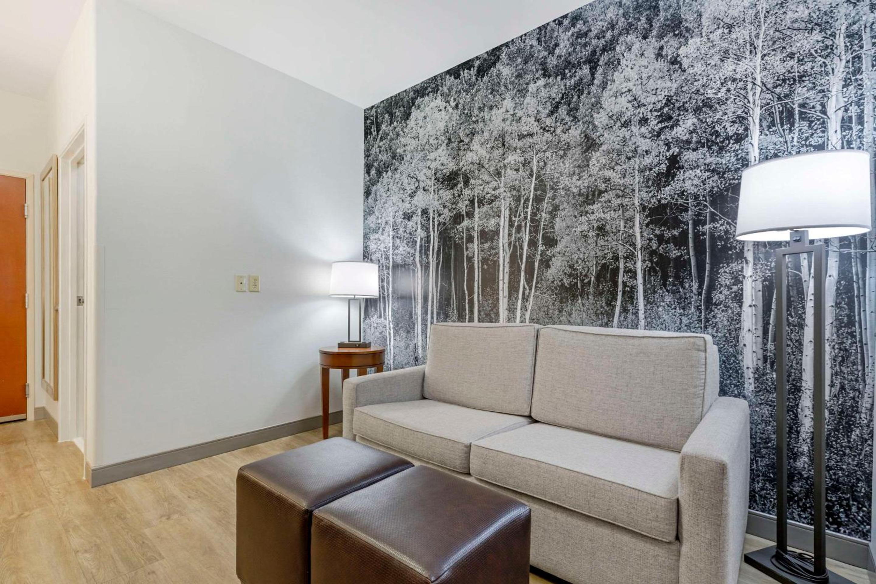 King Suite with Sofa Bed - Non Smoking