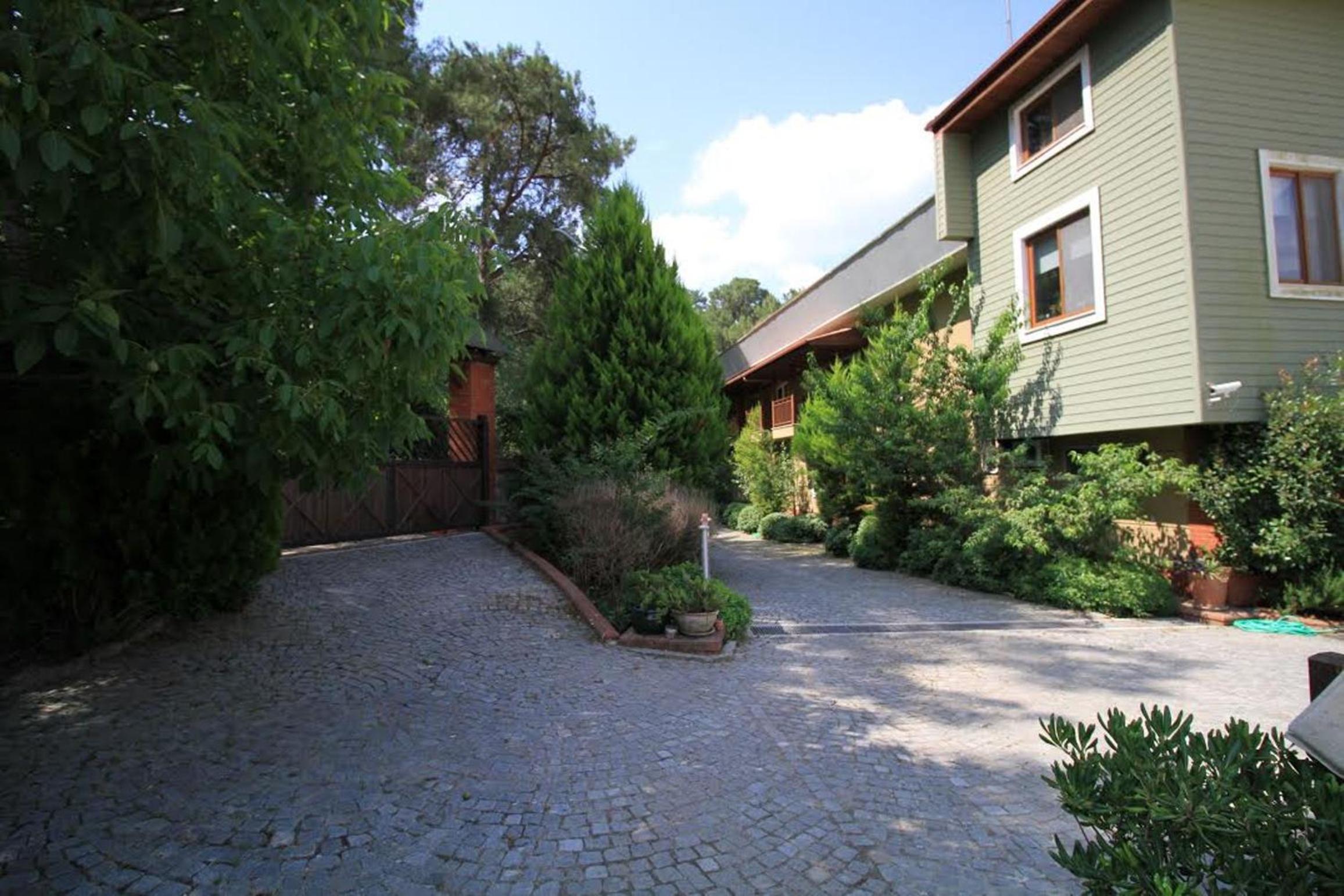 Suite - Photo 2
