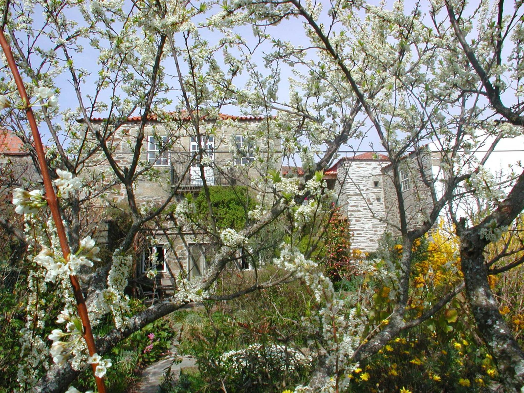 Studio with Terrace - Photo 7