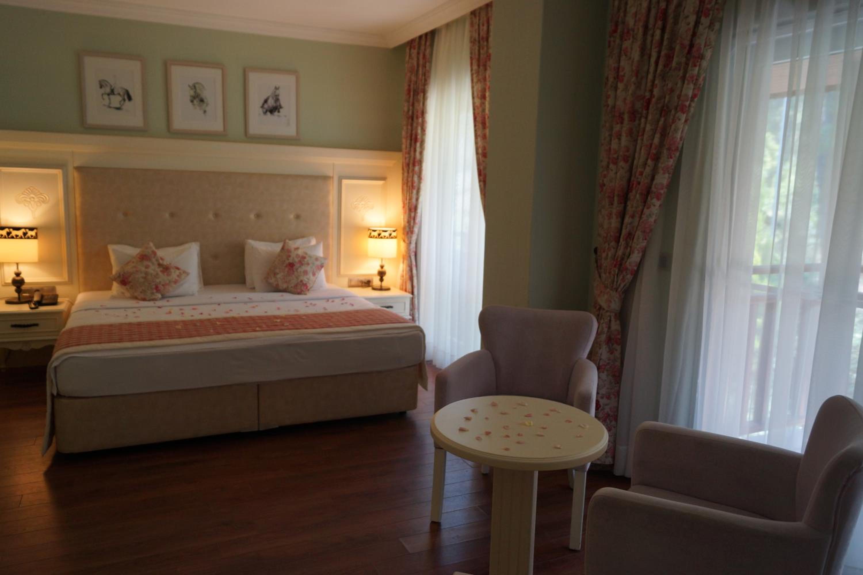 Deluxe Double Room photo 2