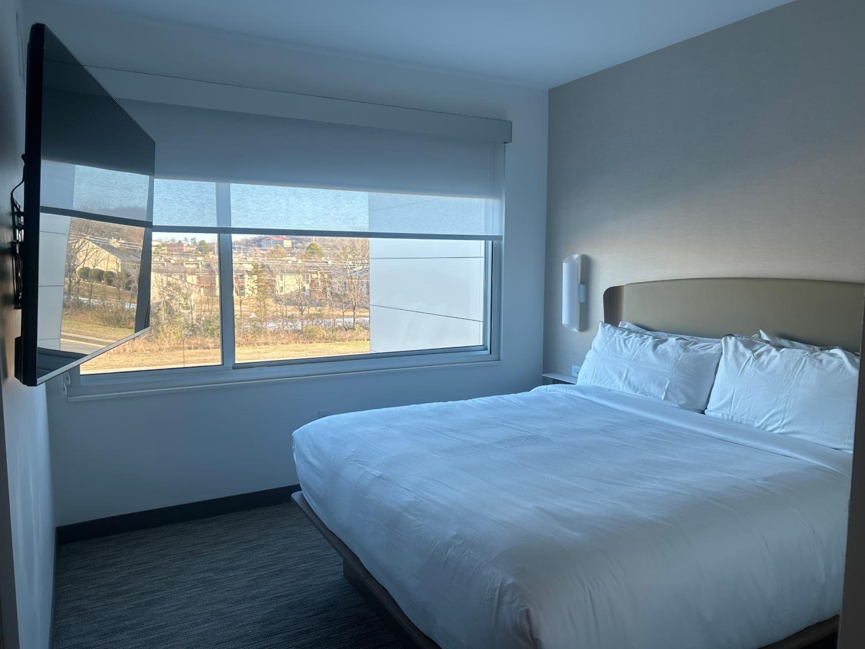 One-Bedroom King Suite with Sofa Bed  - Photo 3