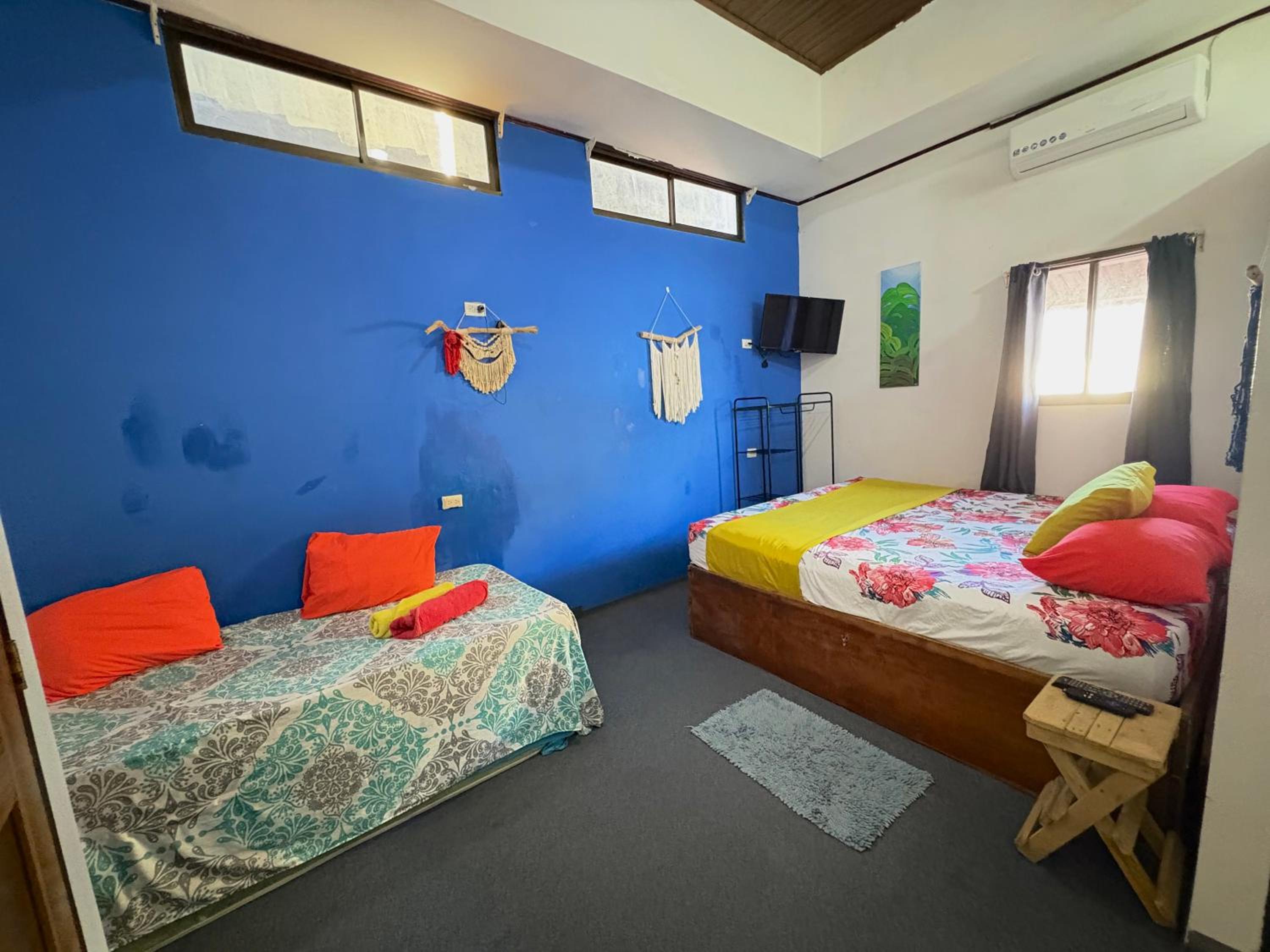 Twin Room with Private Bathroom photo 2