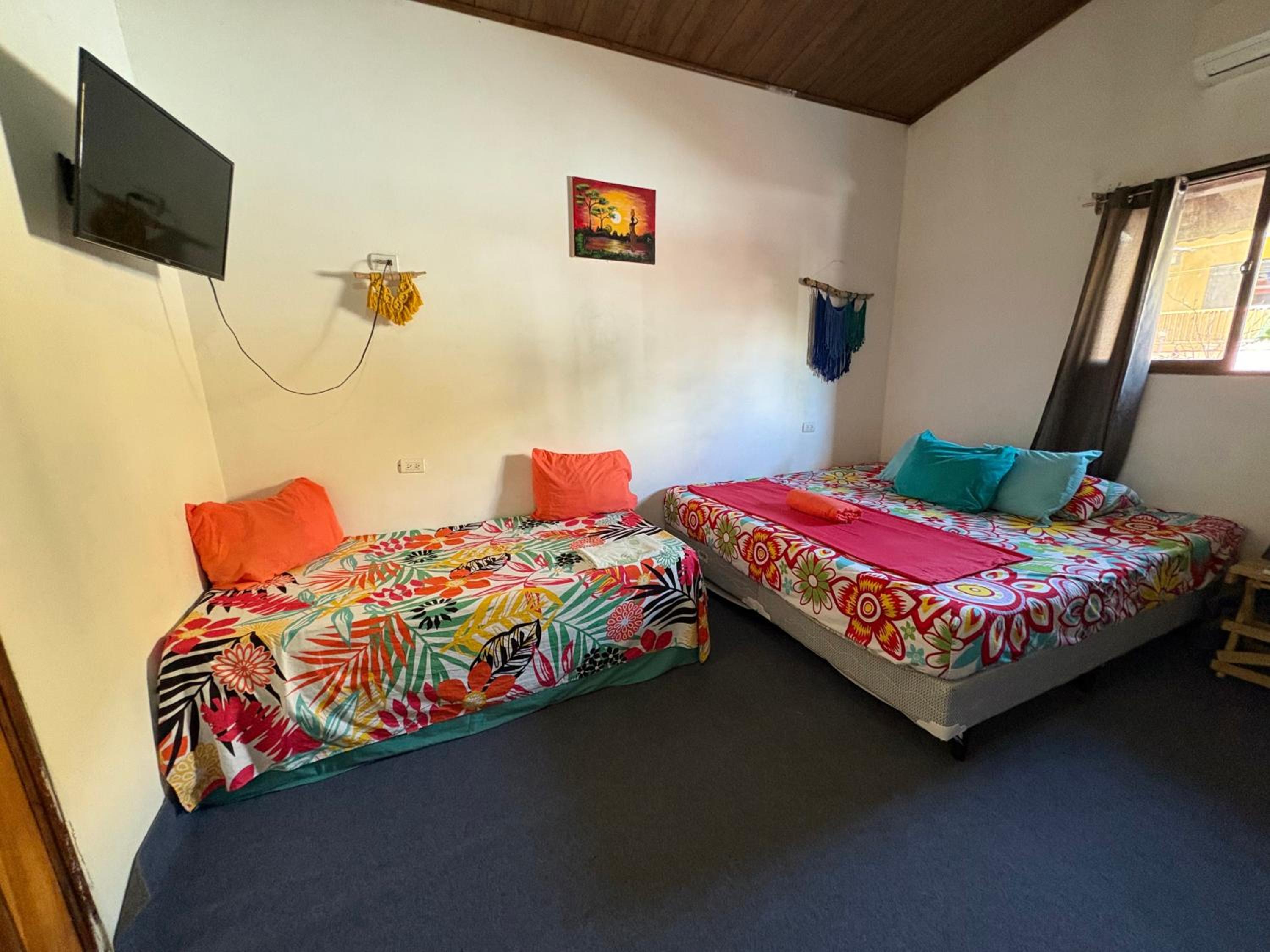 Twin Room with Private Bathroom photo 1