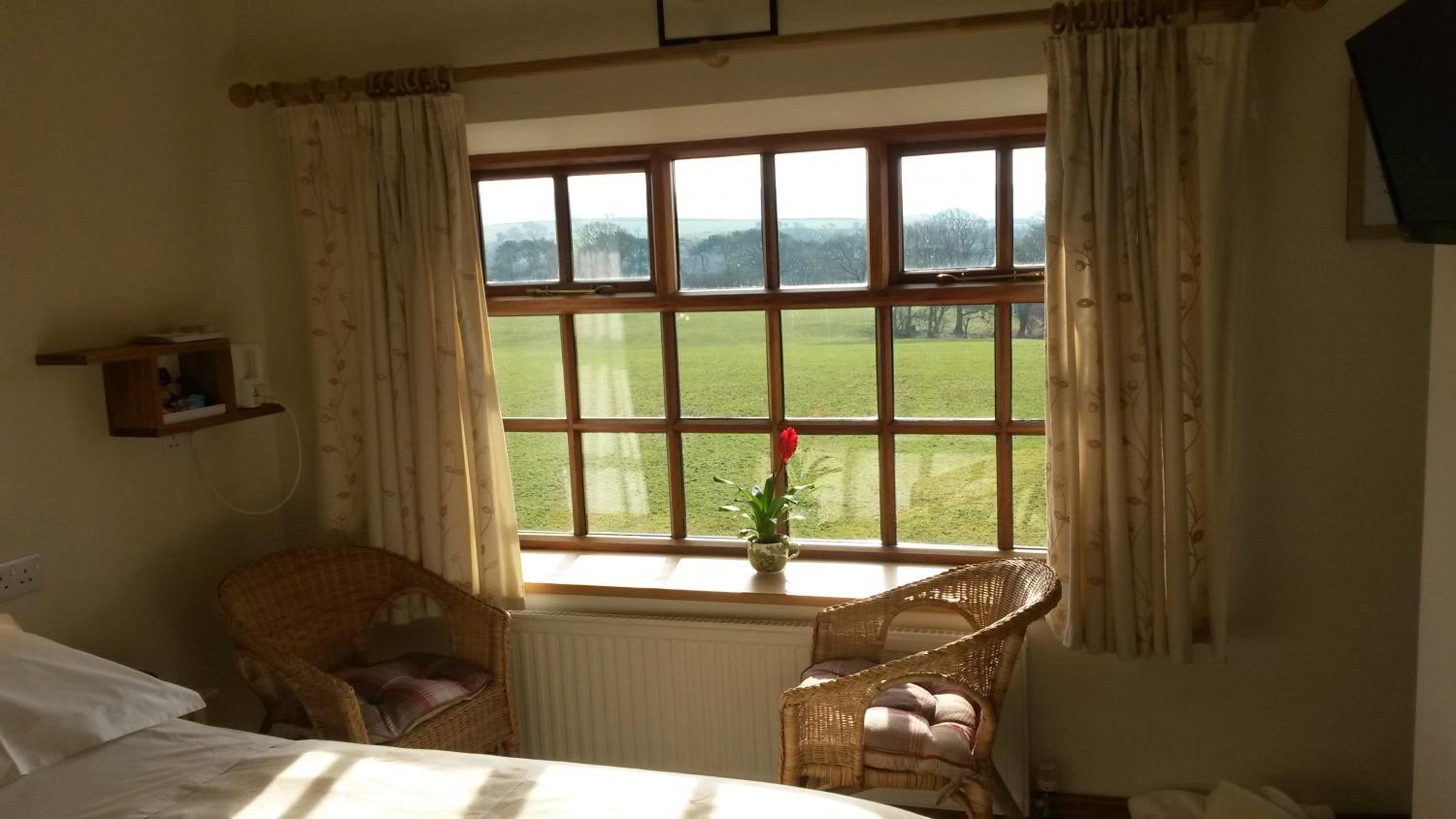 King Room with Garden View - Photo 4