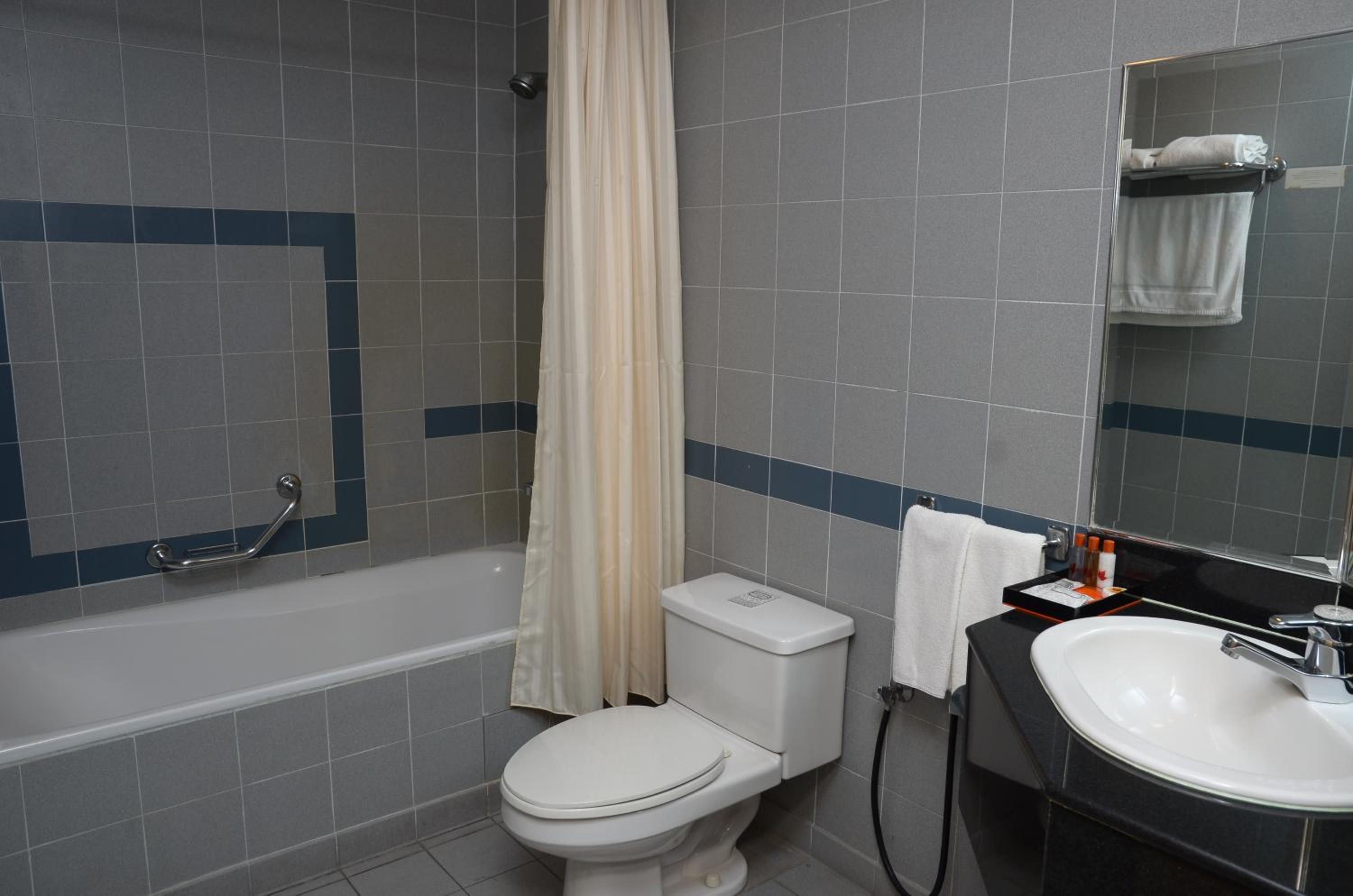 Deluxe One-Bedroom Apartment