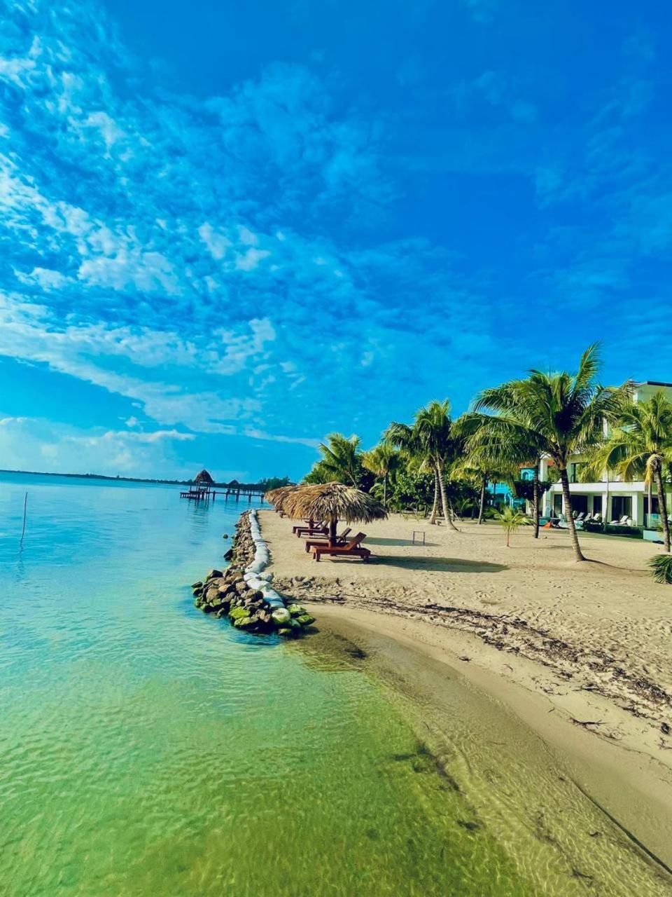 Villa - Beach Front photo 3