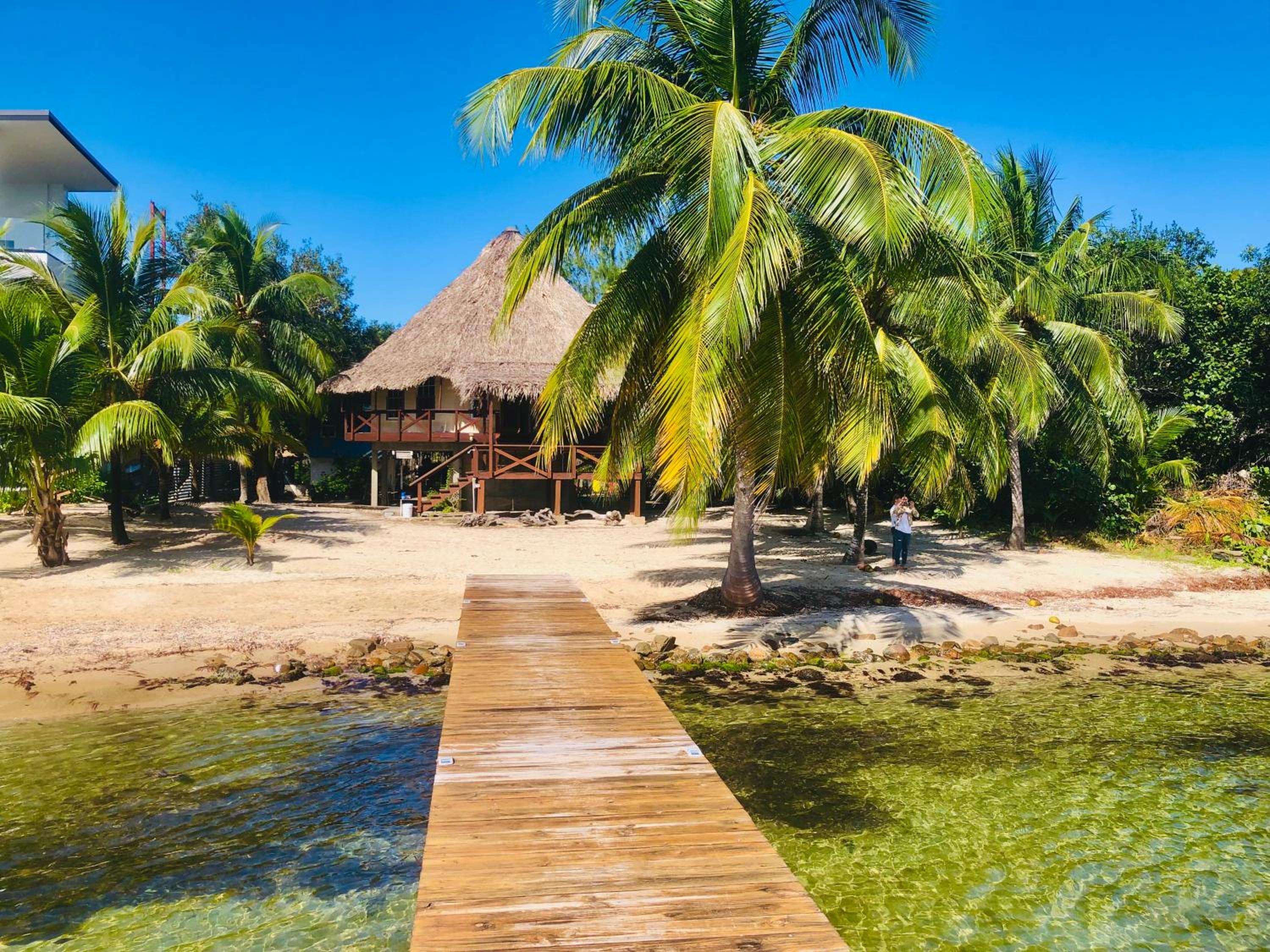 Villa - Beach Front photo 2