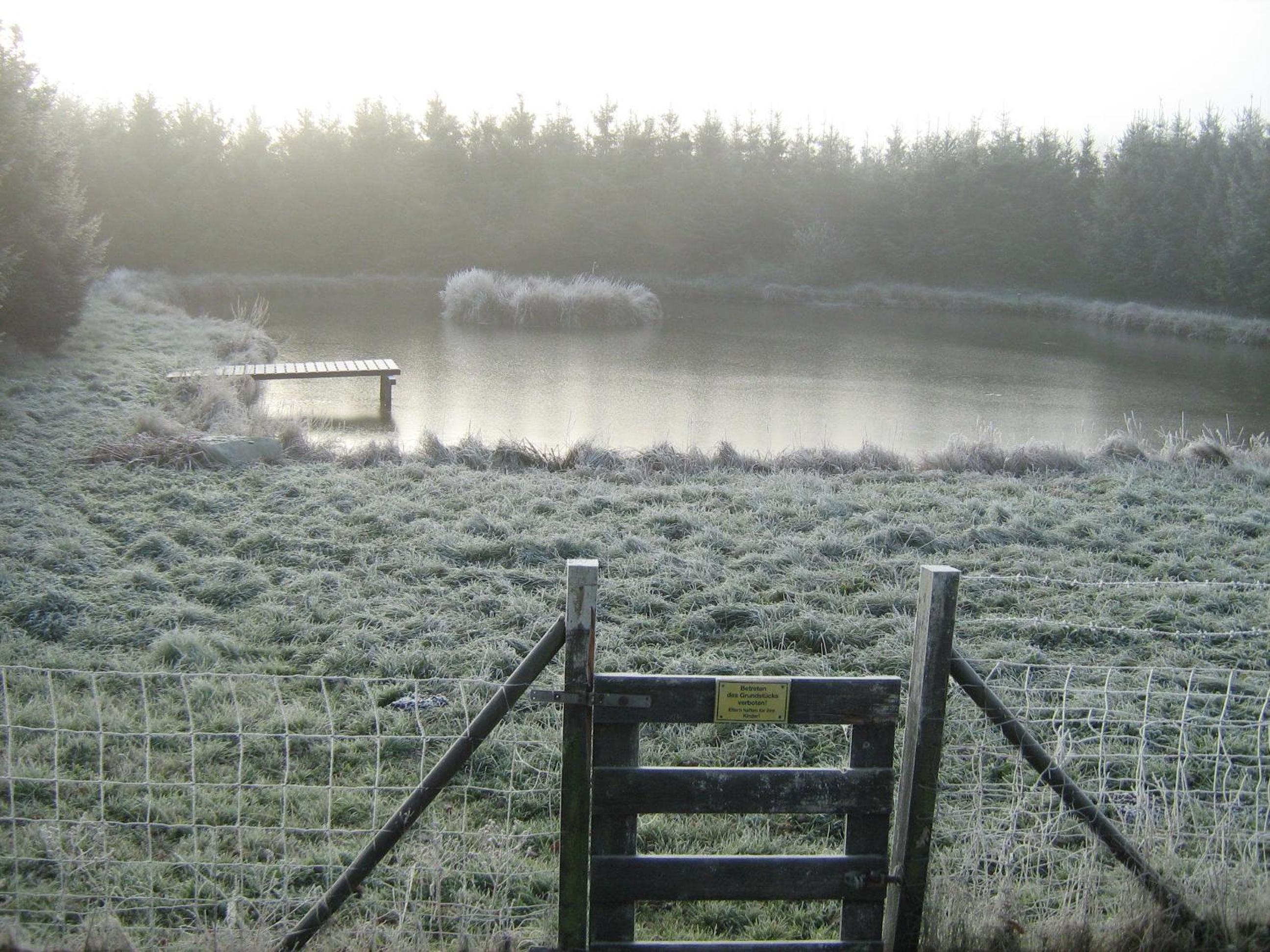 Large Holiday Home photo 2