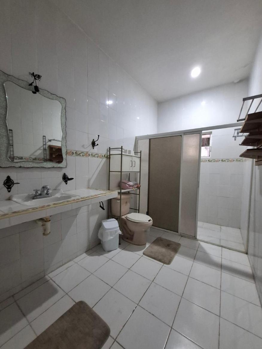Single Bed in Mixed Dormitory Room photo 1