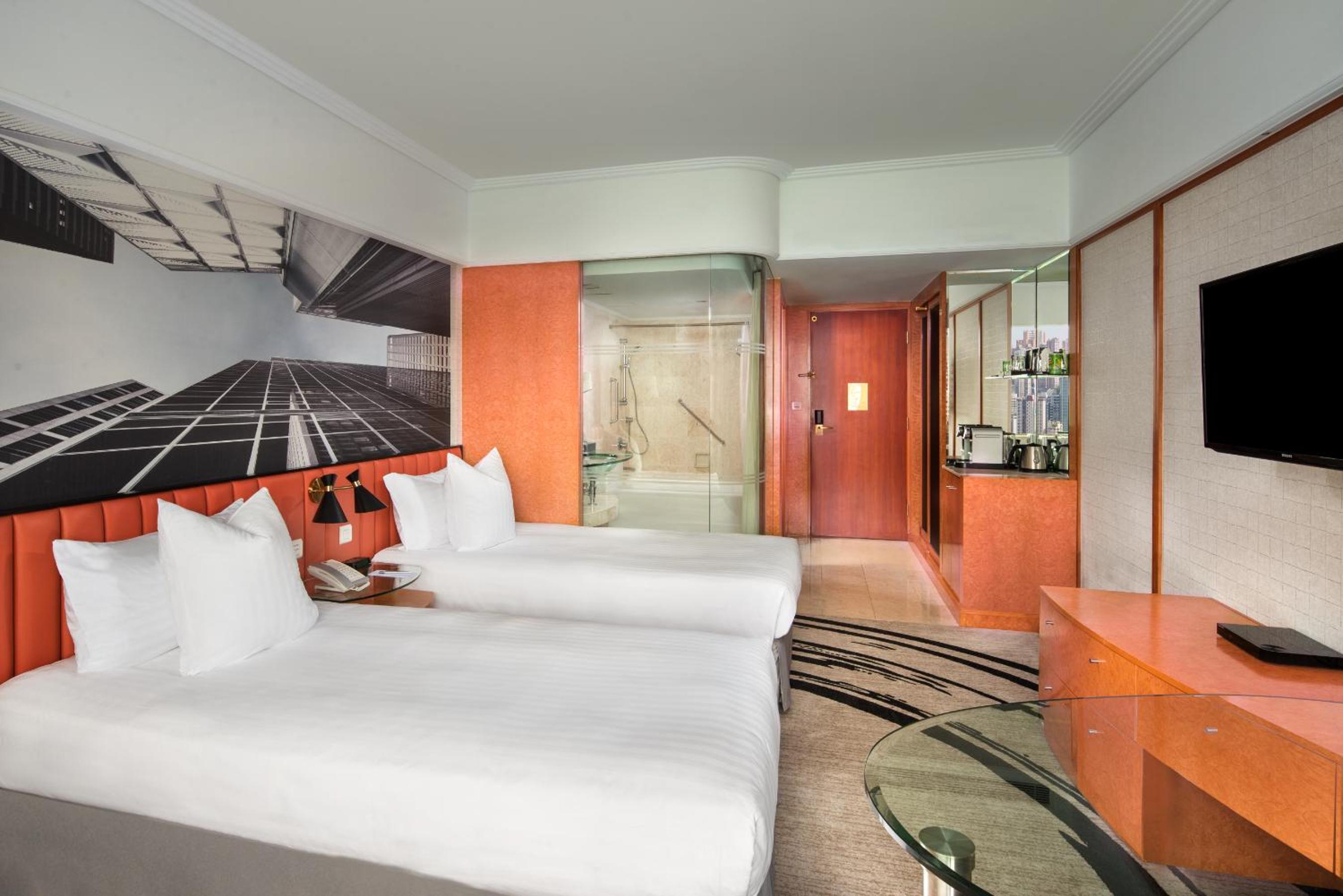 Deluxe Twin Room with City View
