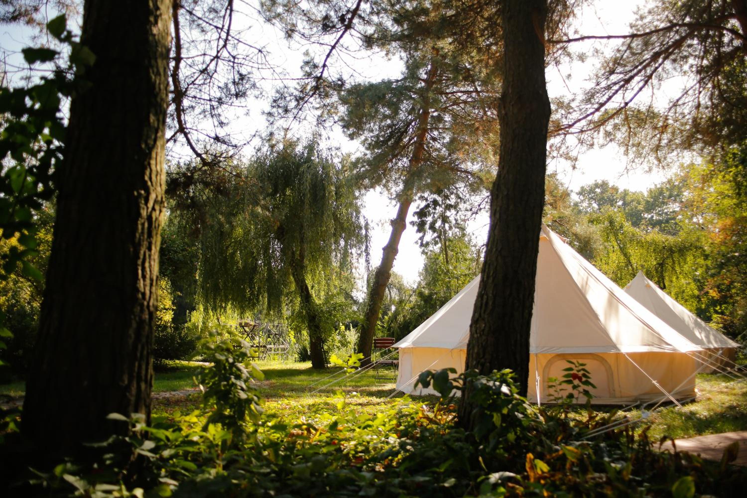 Tent - Photo 2