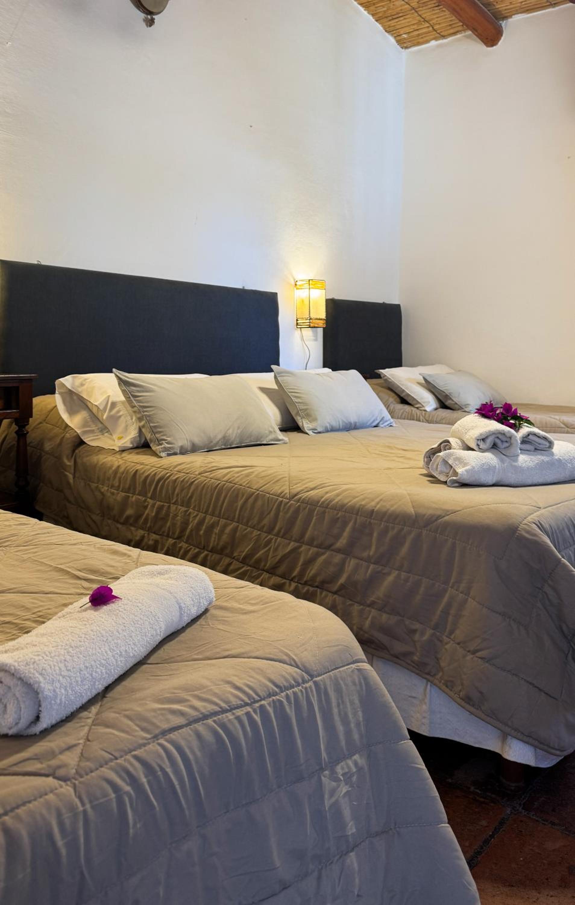 Quadruple Room photo 3