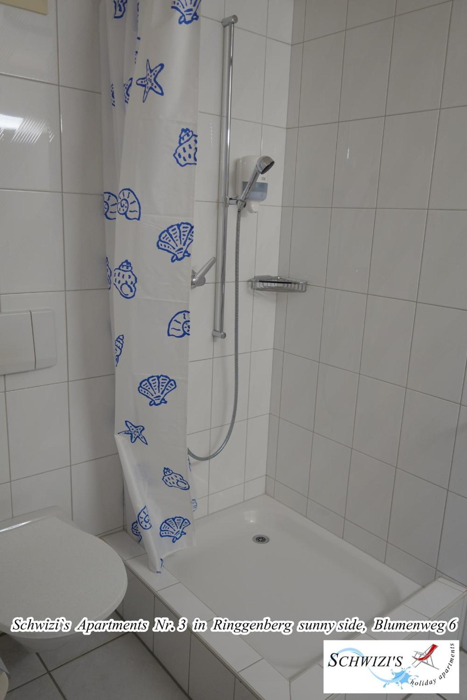 Apartment Nr. 3 in Ringgenberg photo 3