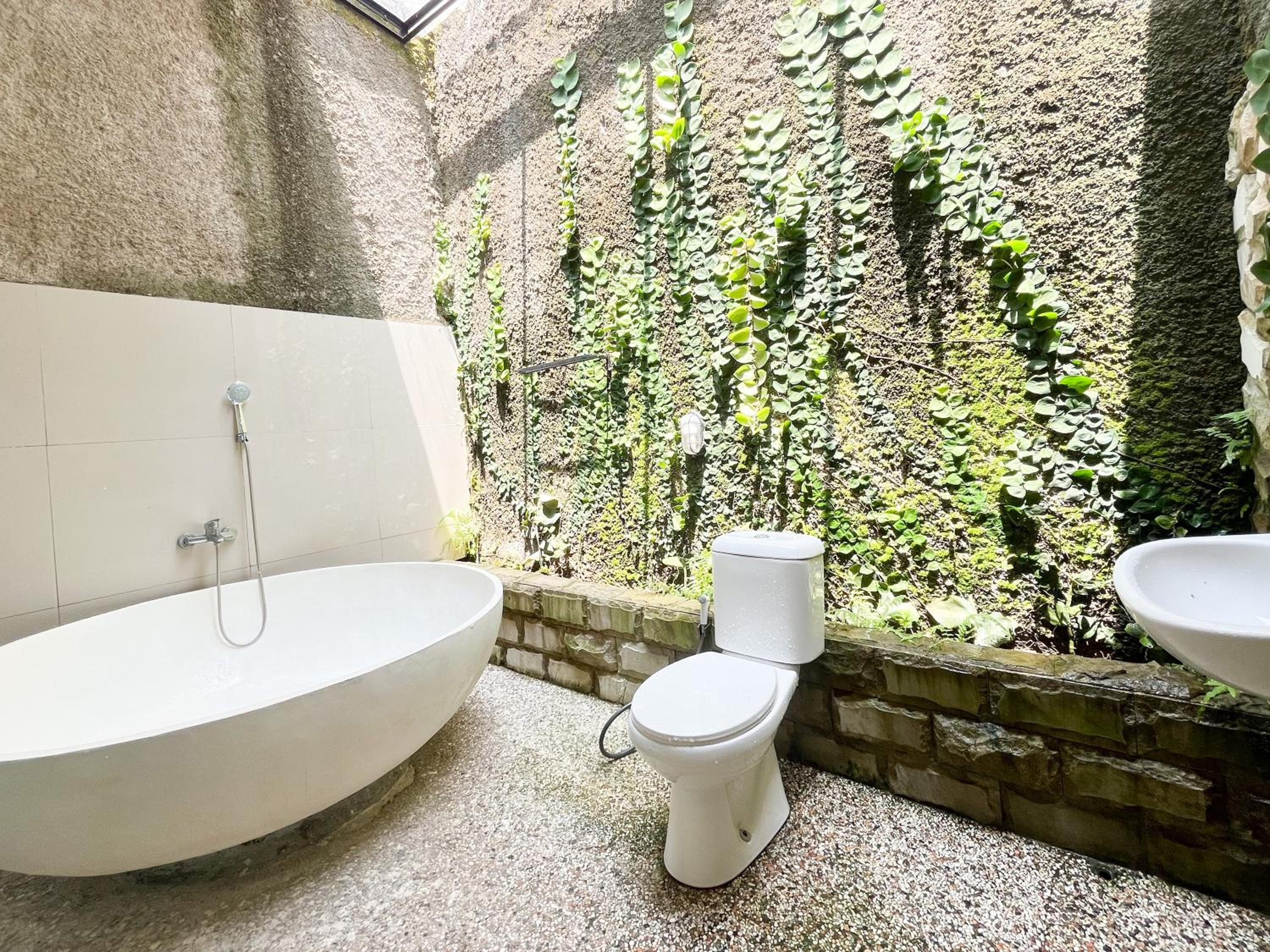 Suite - Photo 15