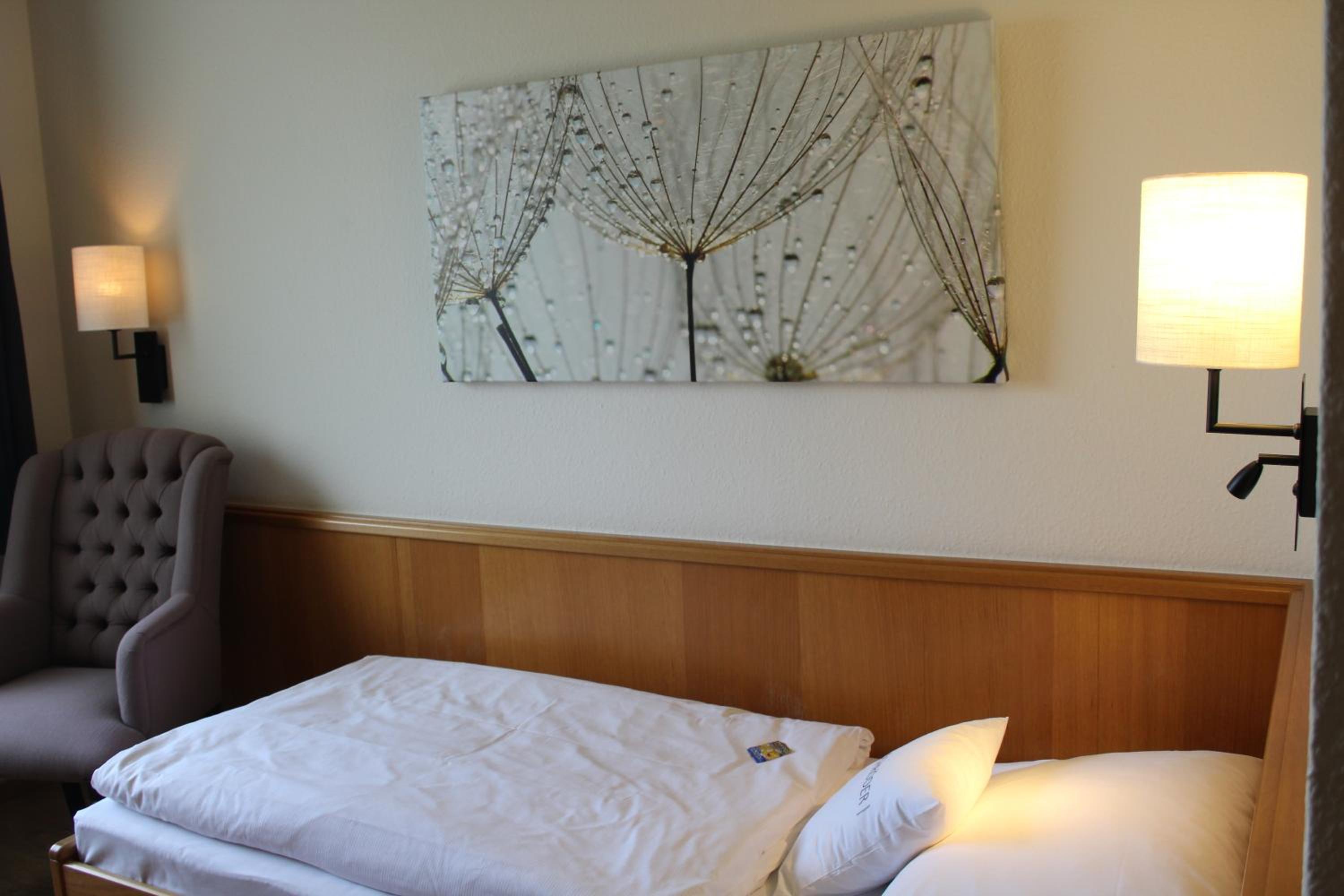 Single Room photo 1