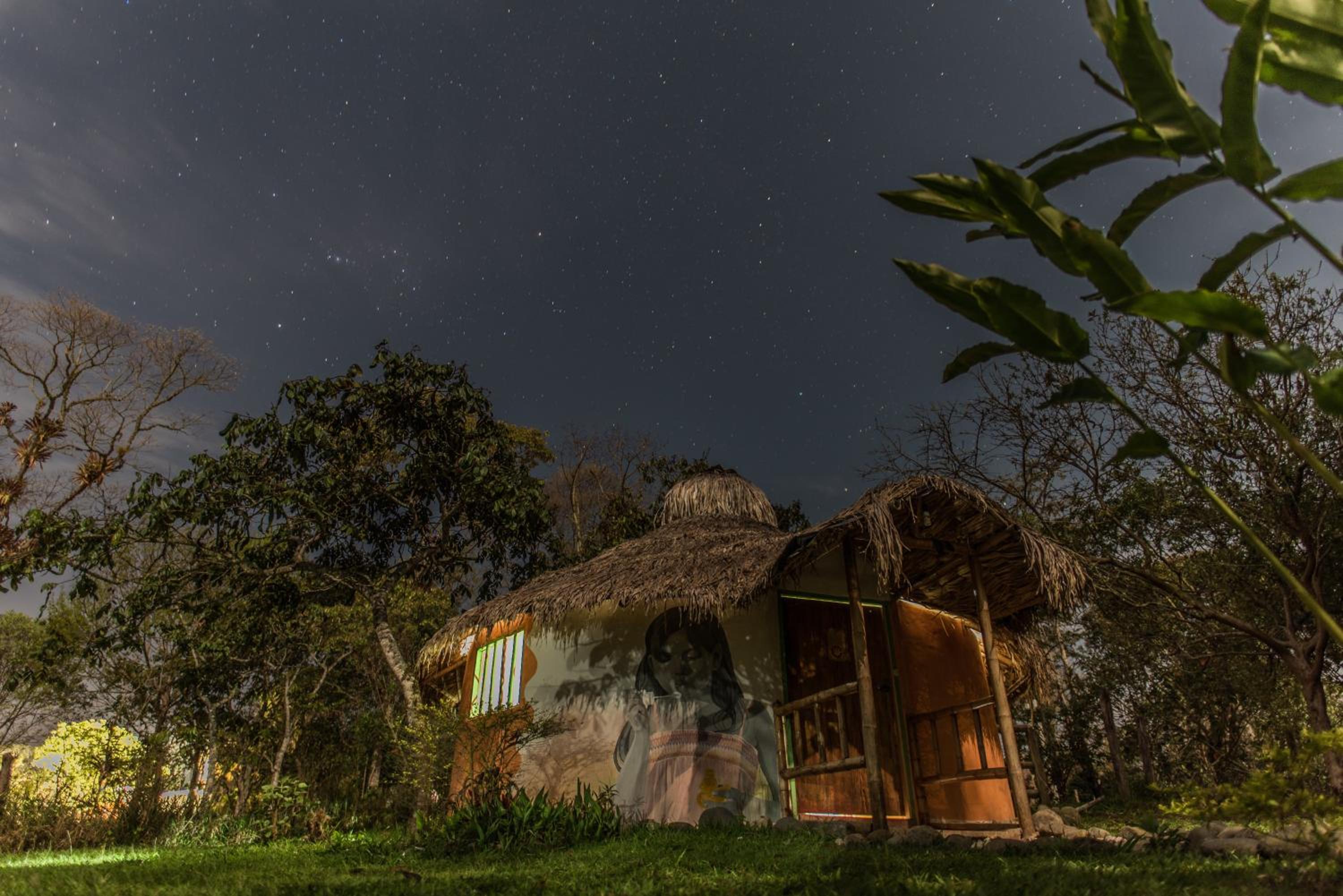 Family Bungalow photo 2