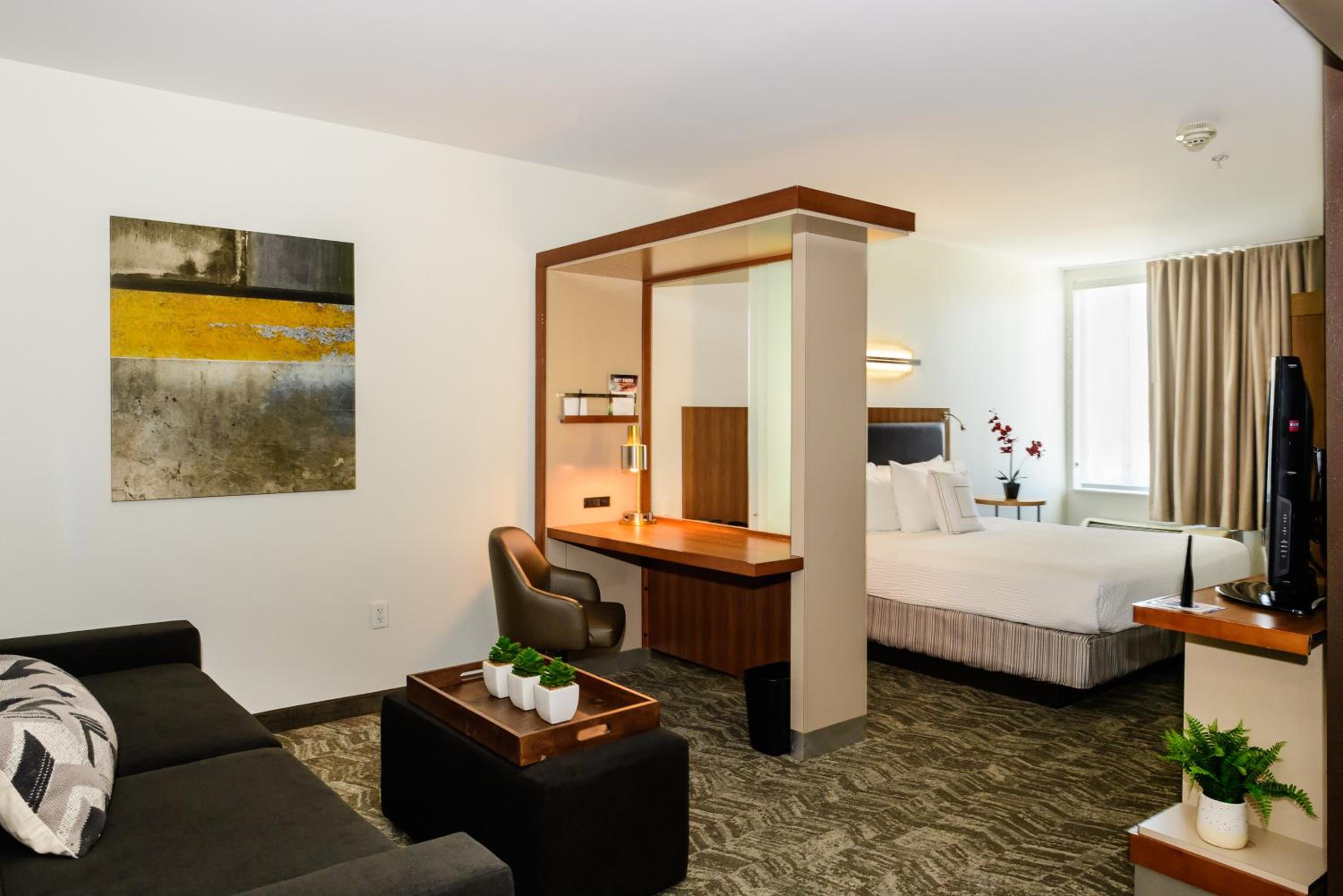 King Studio with Sofa Bed and Roll-in Shower - Mobility and Hearing Accessible