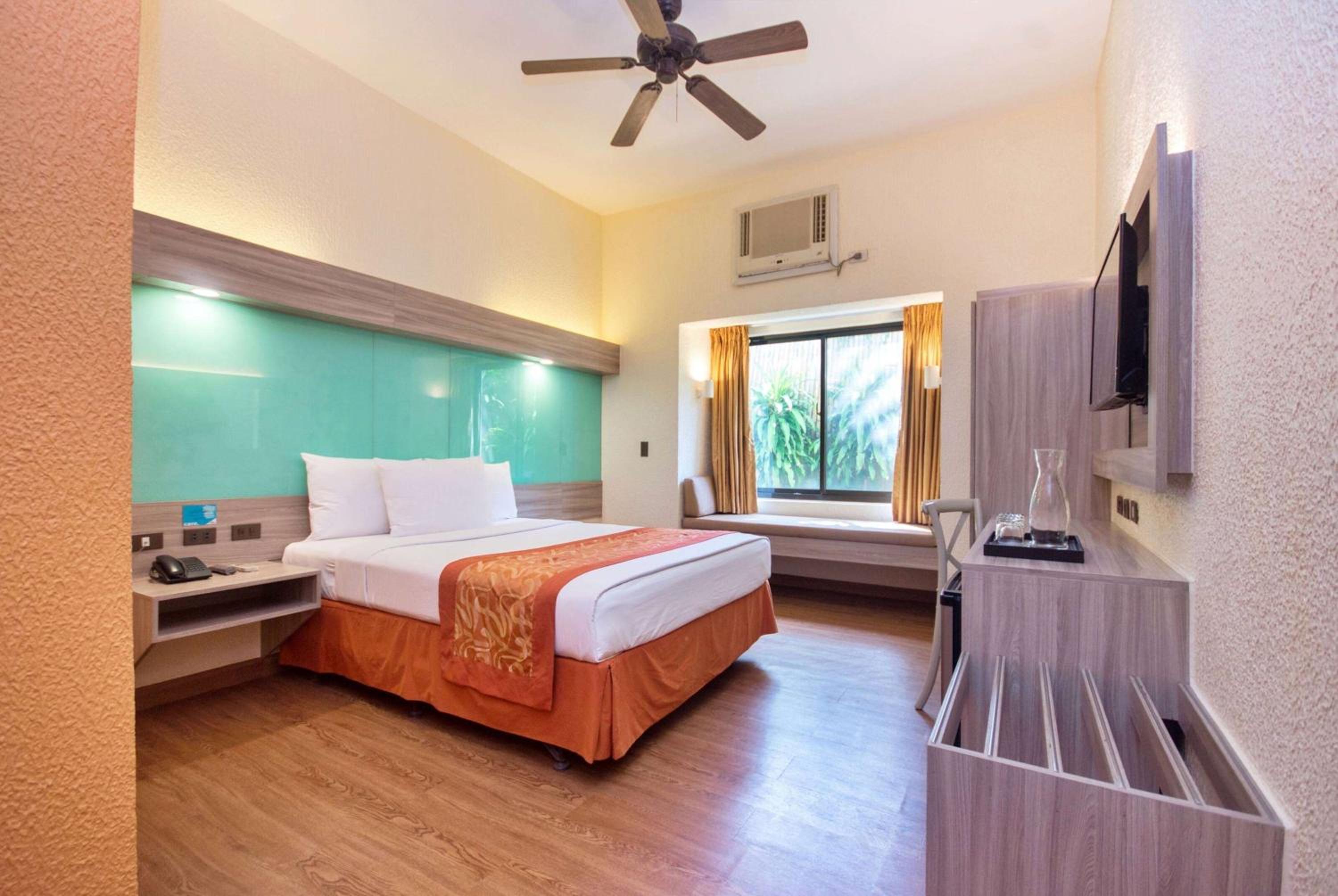 Queen Room with Roll-In Shower - Mobility Accessible/Non-Smoking - Photo 3
