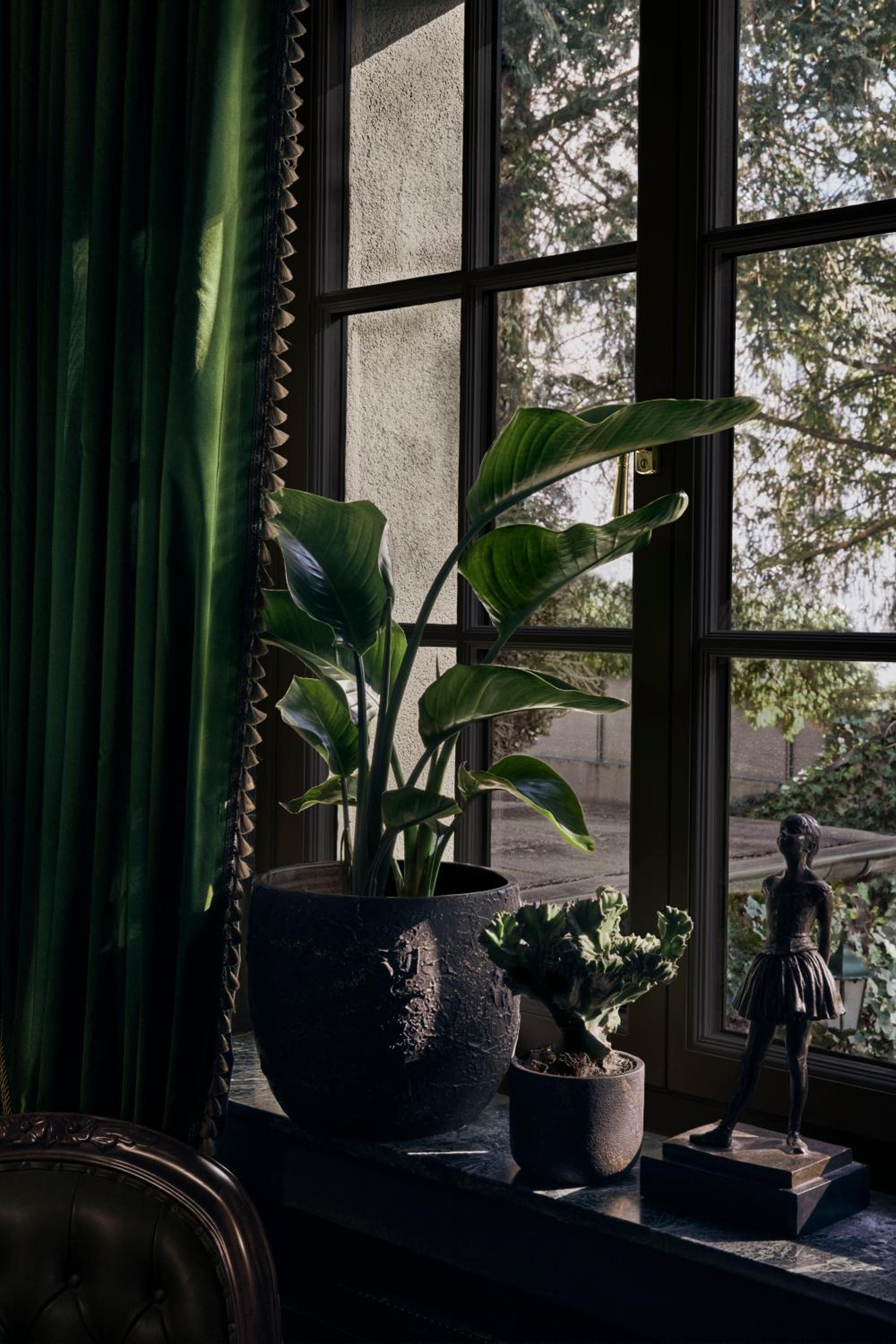 Deluxe 21 - Photo 1