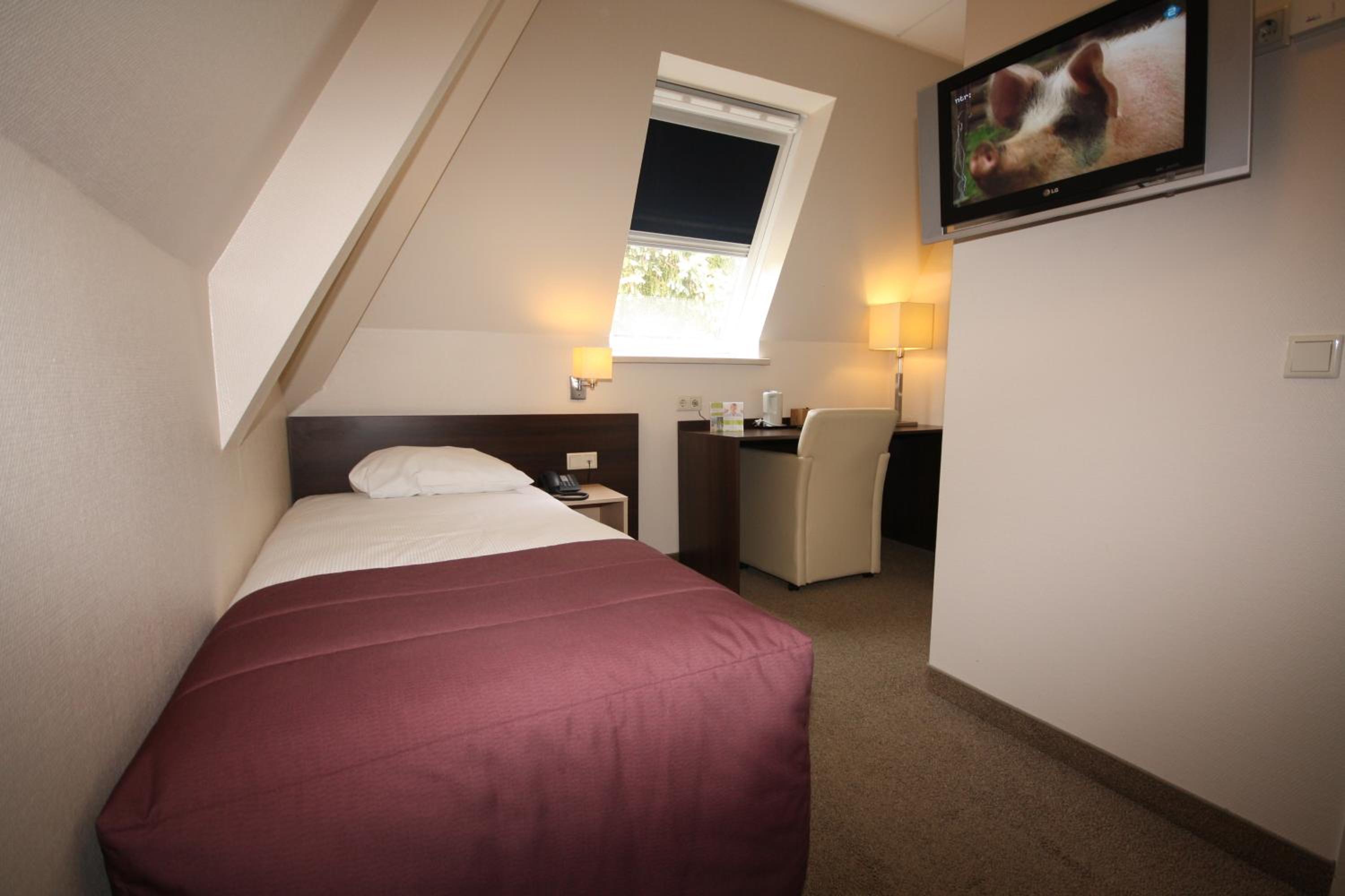 Single Room photo 1