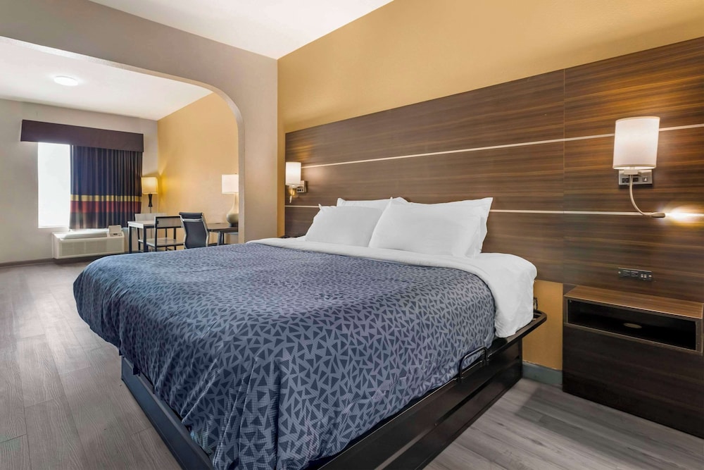 Room, 1 King Bed, Smoking