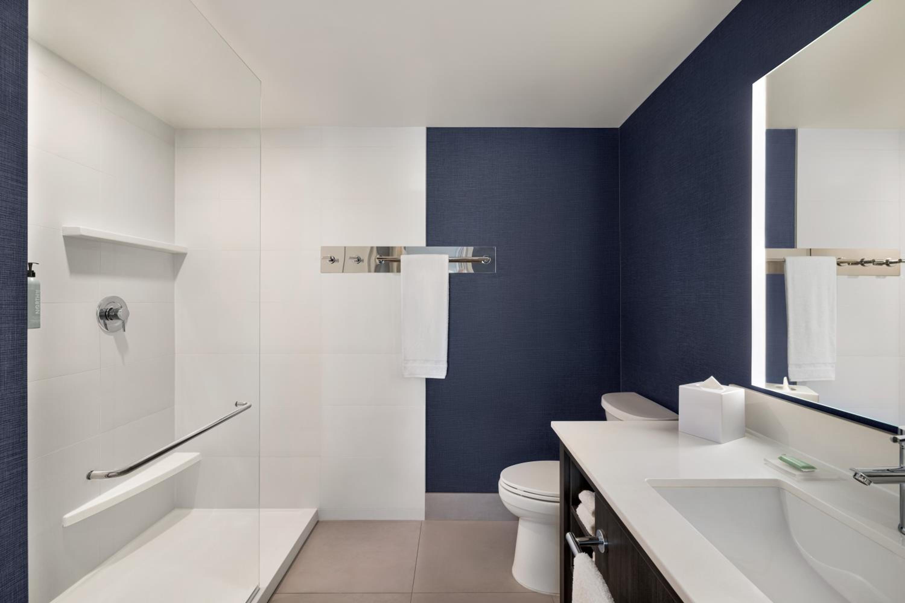 One-Bedroom King Suite with Sofa Bed - Hearing Accessible
