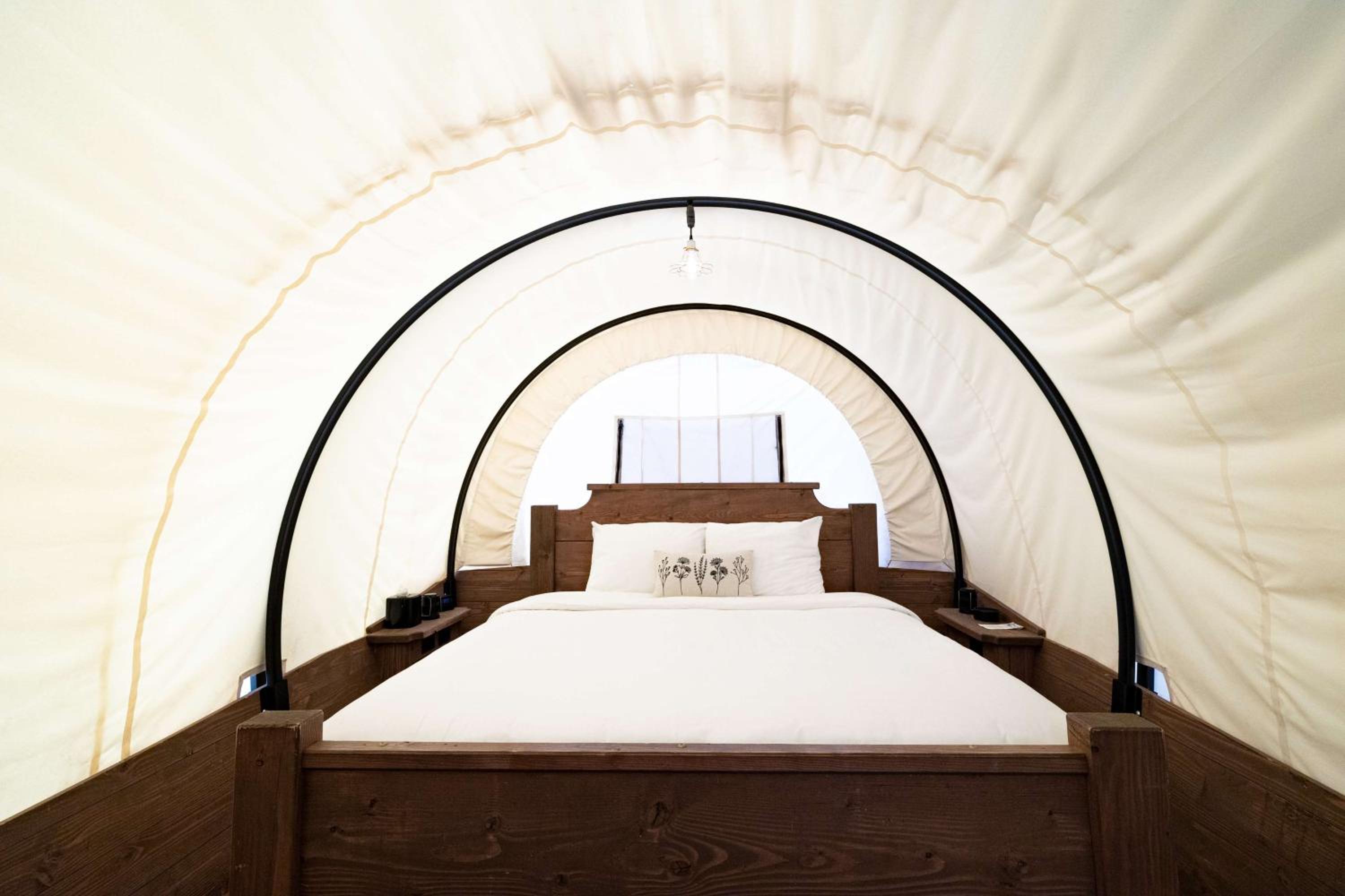 Showy Covered Wagon - Photo 2