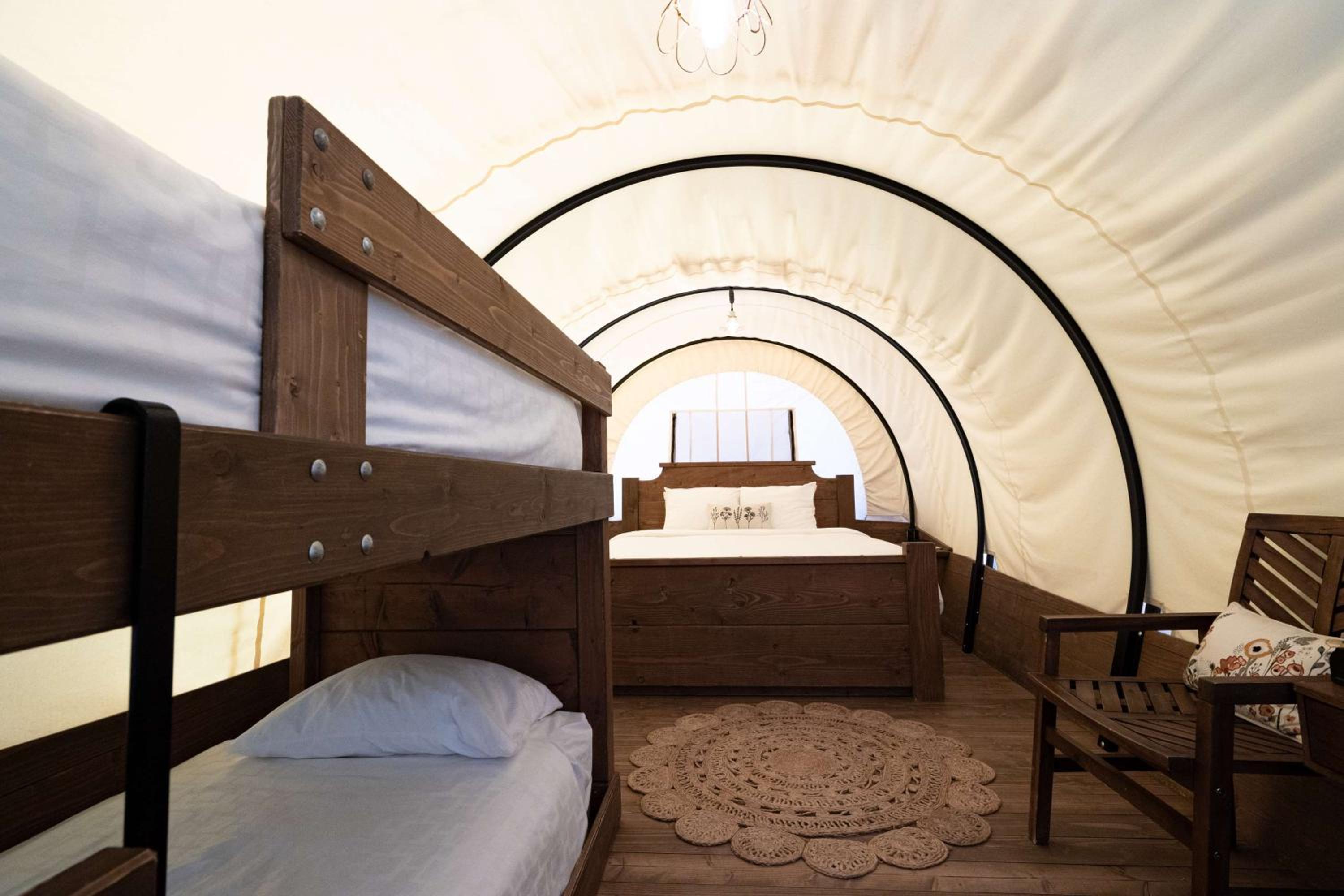 Showy Covered Wagon - Photo 3
