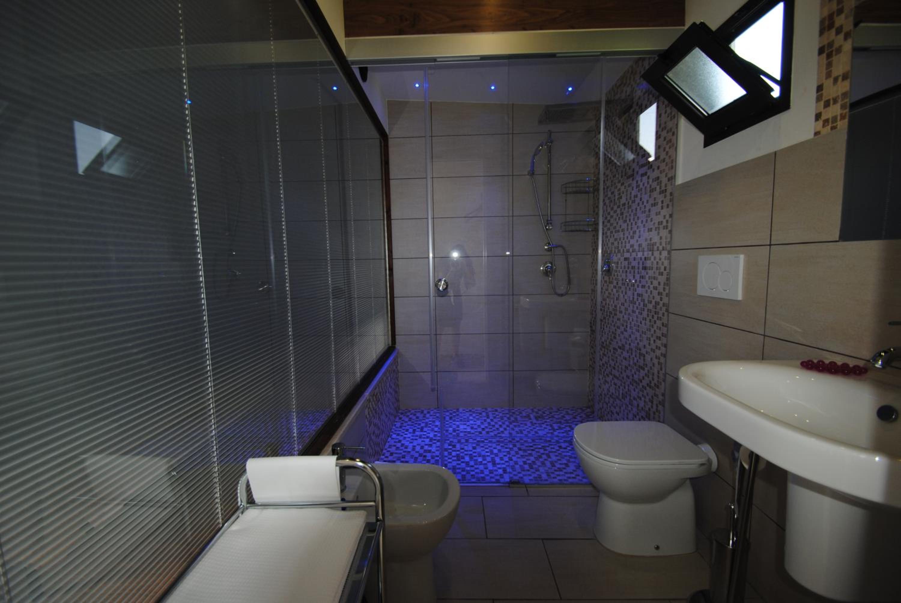 Deluxe Double or Twin Room photo 3