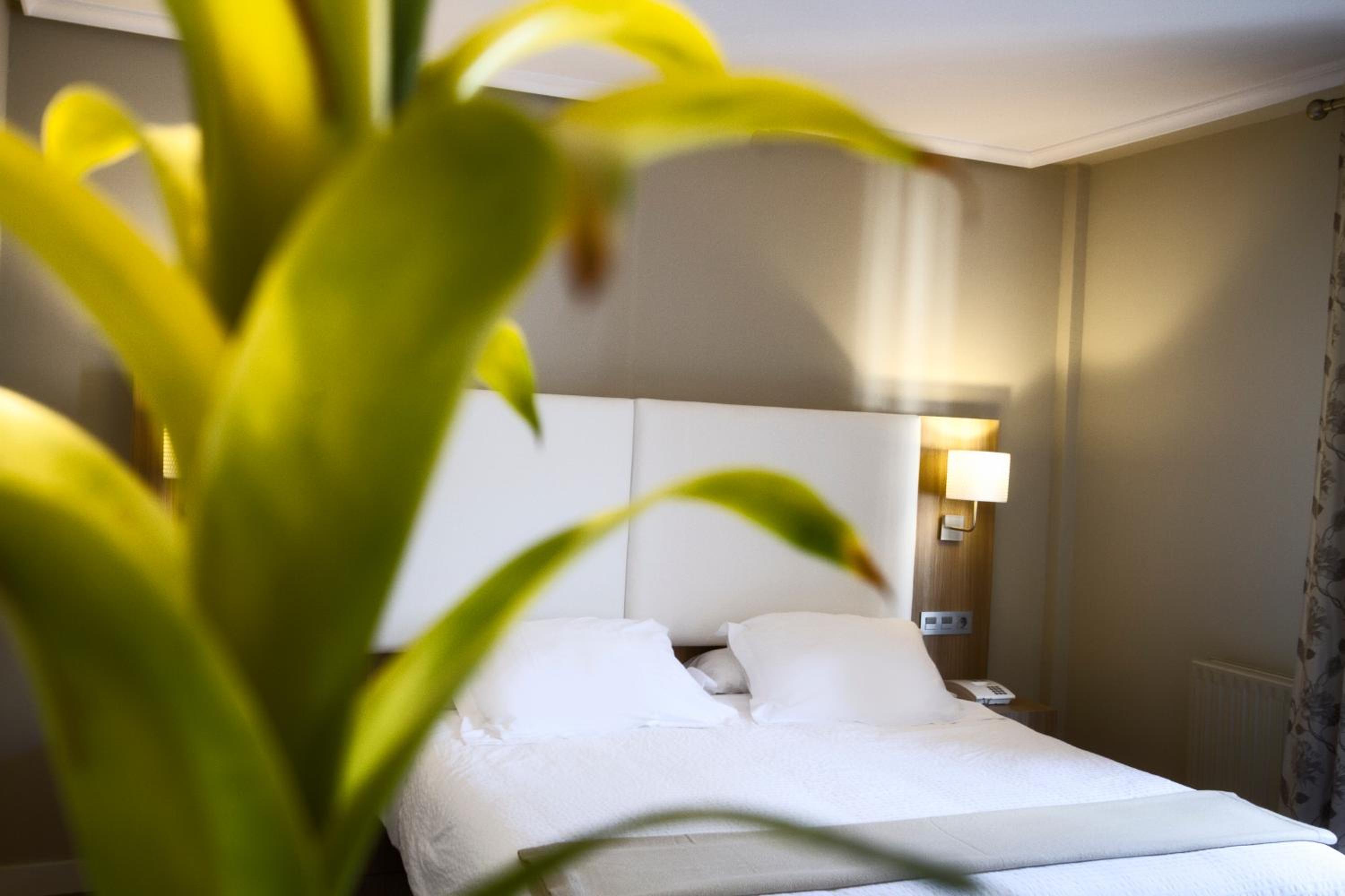 Oferta Romántica - Habitación Doble