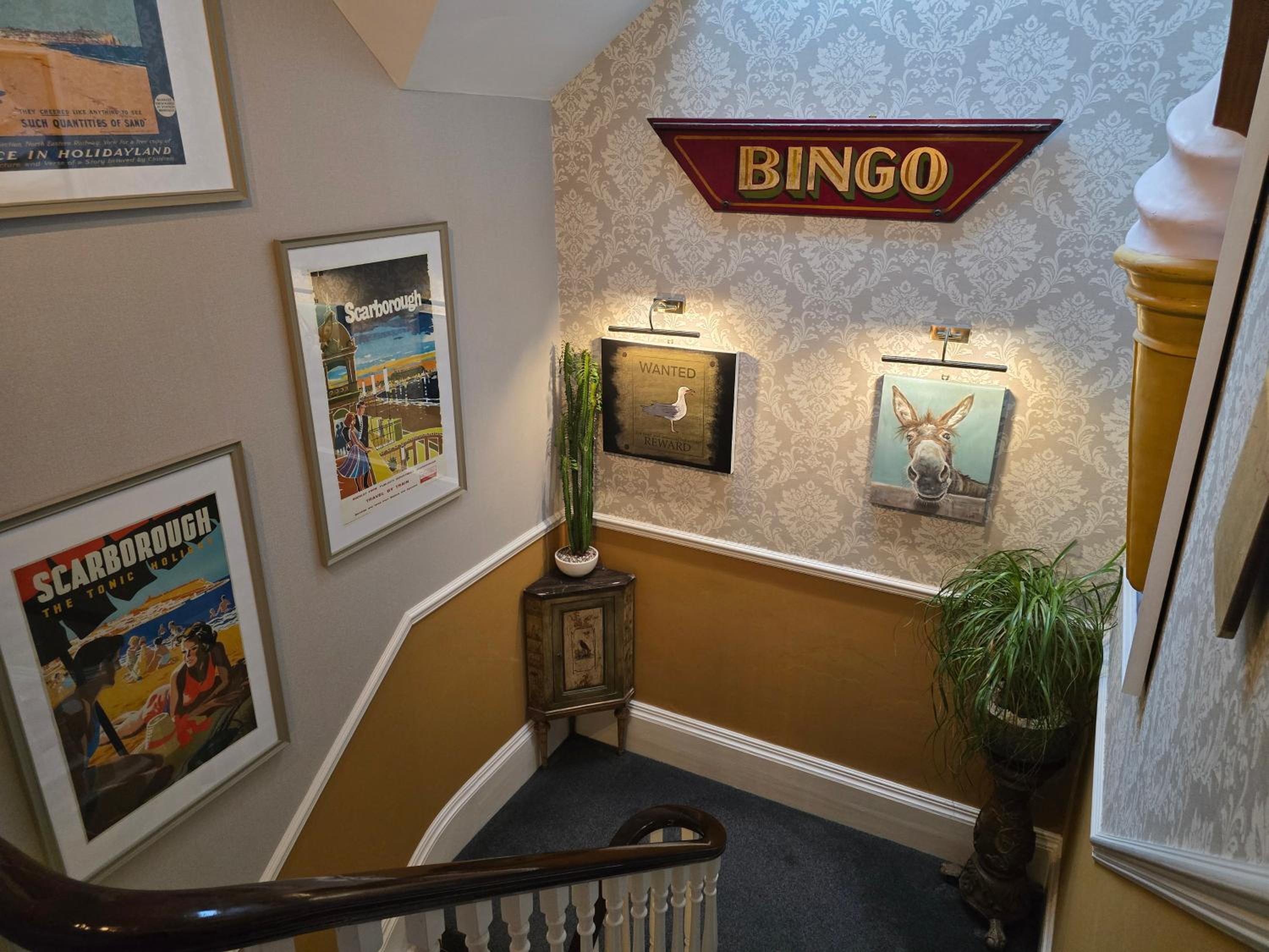 Superior King Room photo 3