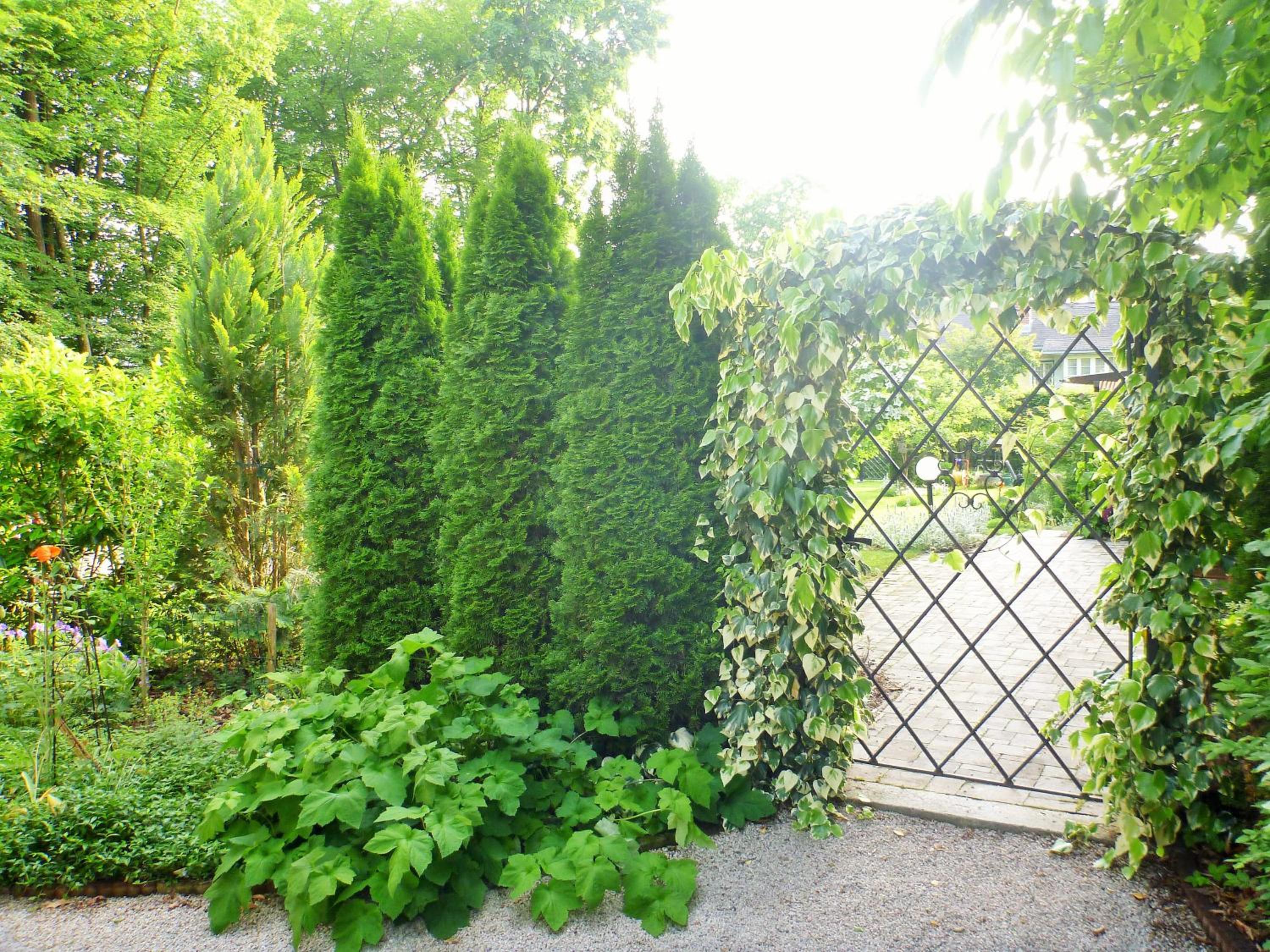 Studio with Terrace photo 3