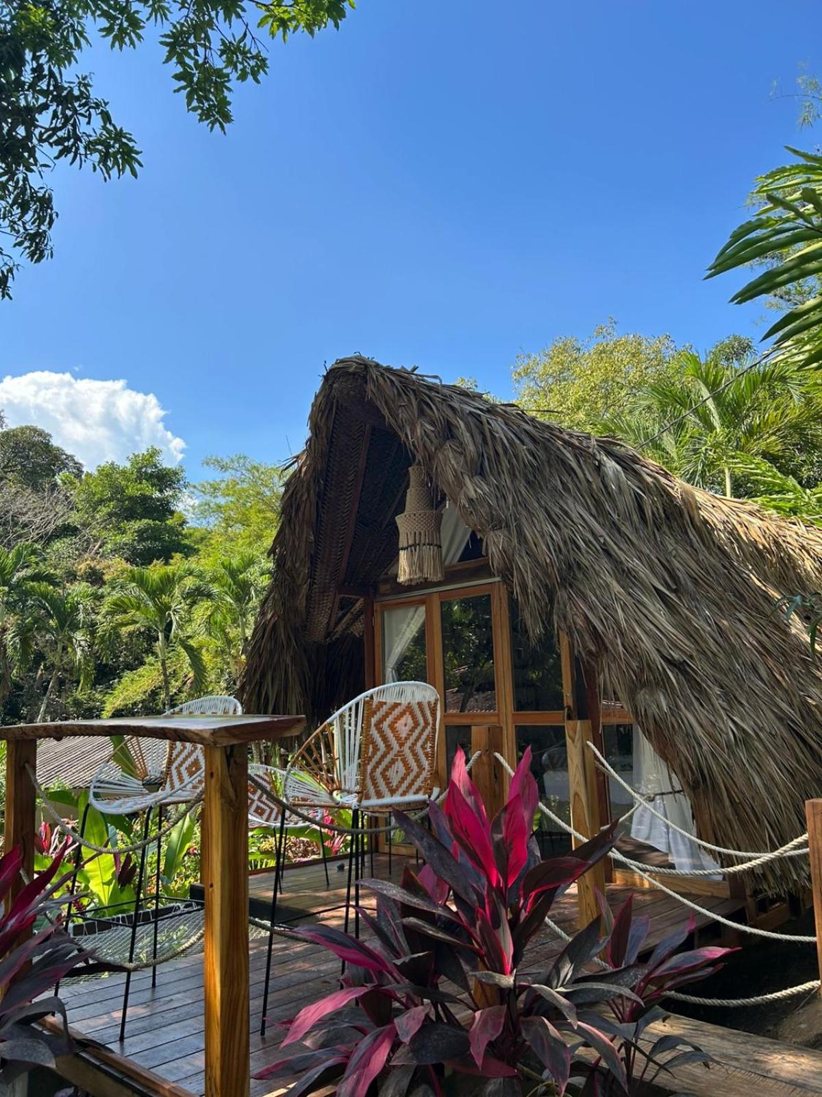 Deluxe Bungalow with Garden View photo 1
