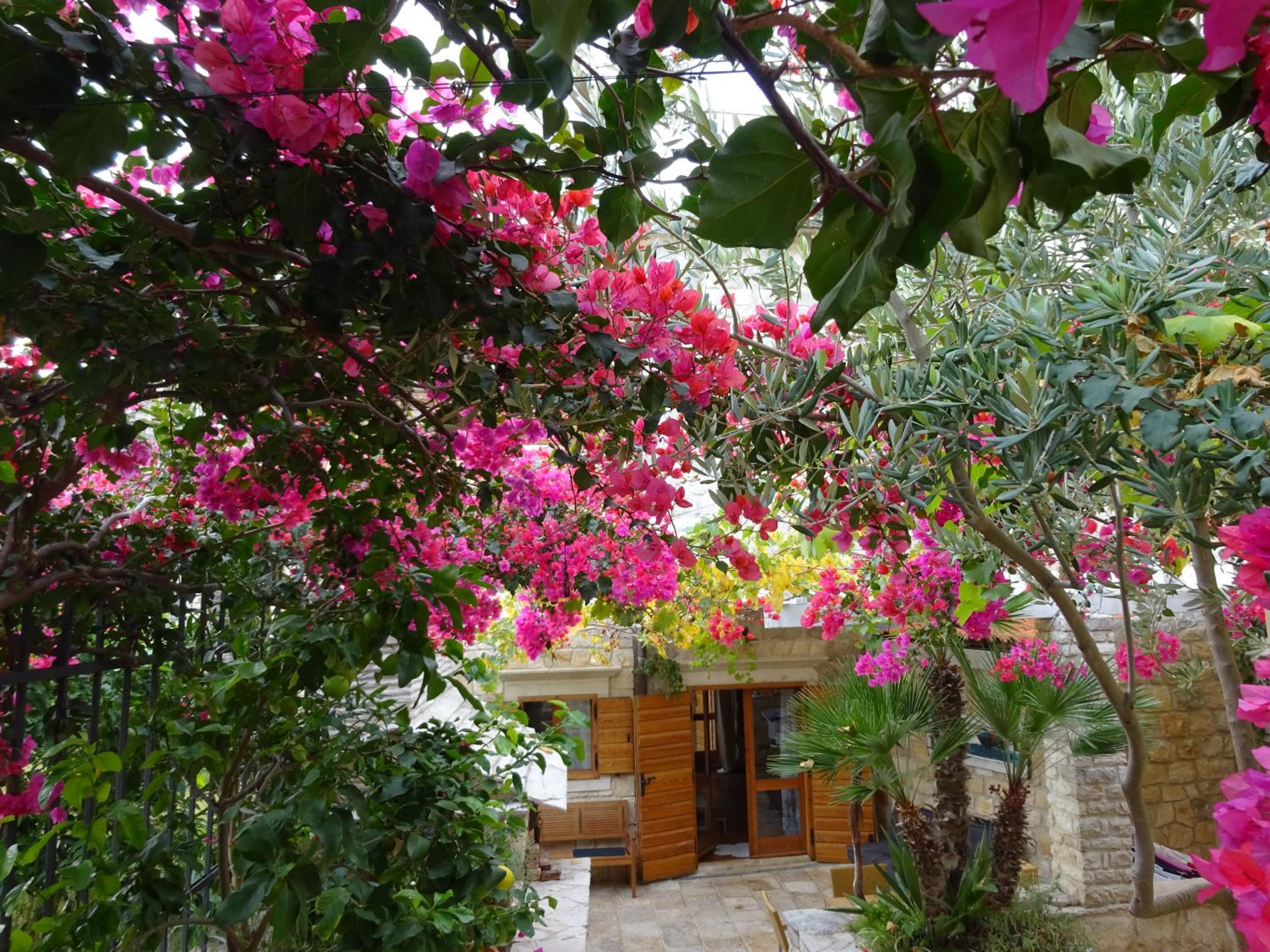 Villa - Beach Front - Photo 5