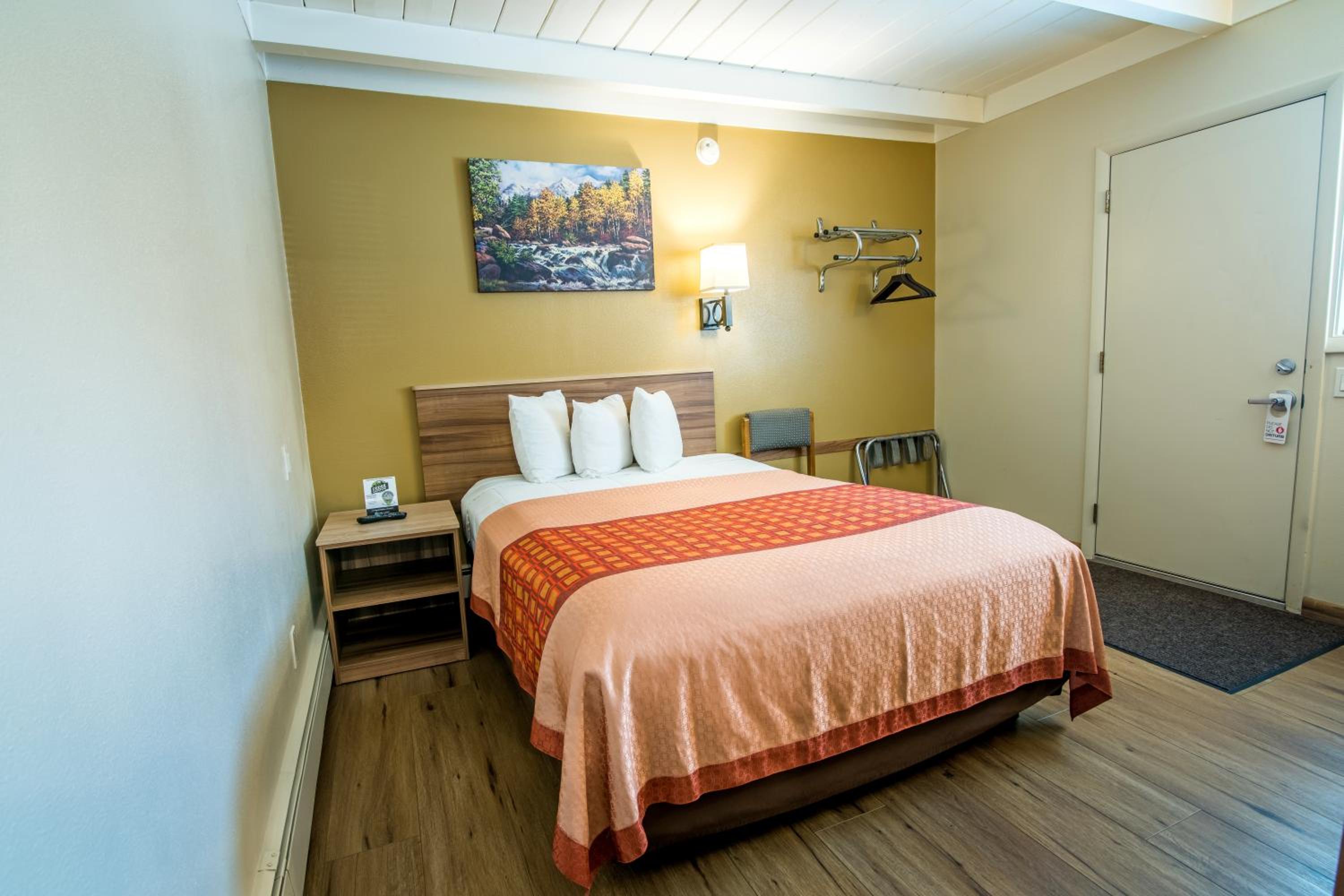 Budget Single Room photo 2