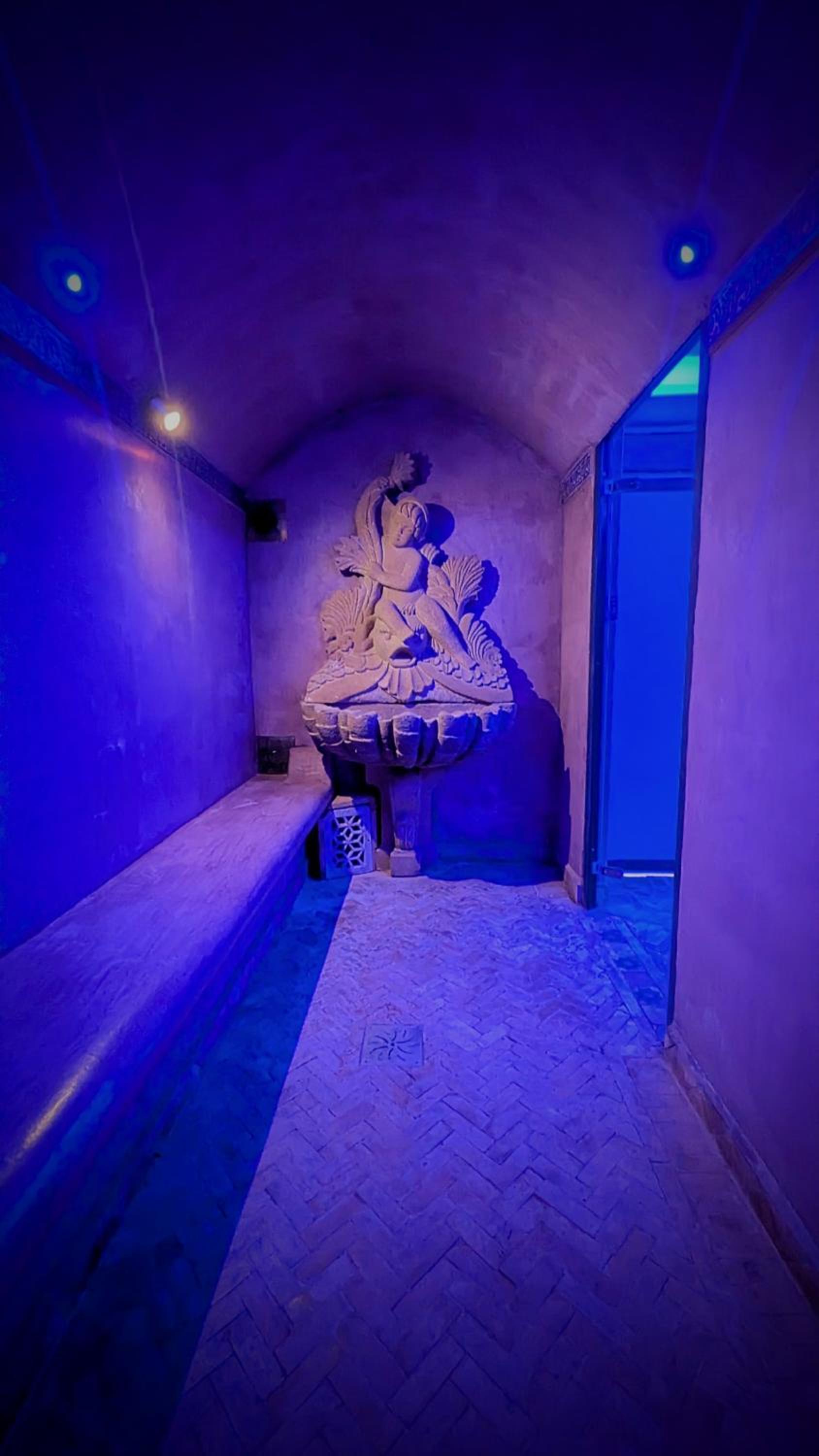 Deluxe King Suite - Photo 11