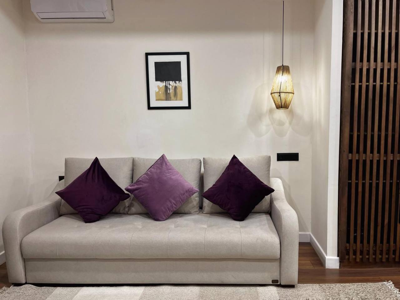 Suite - Photo 2