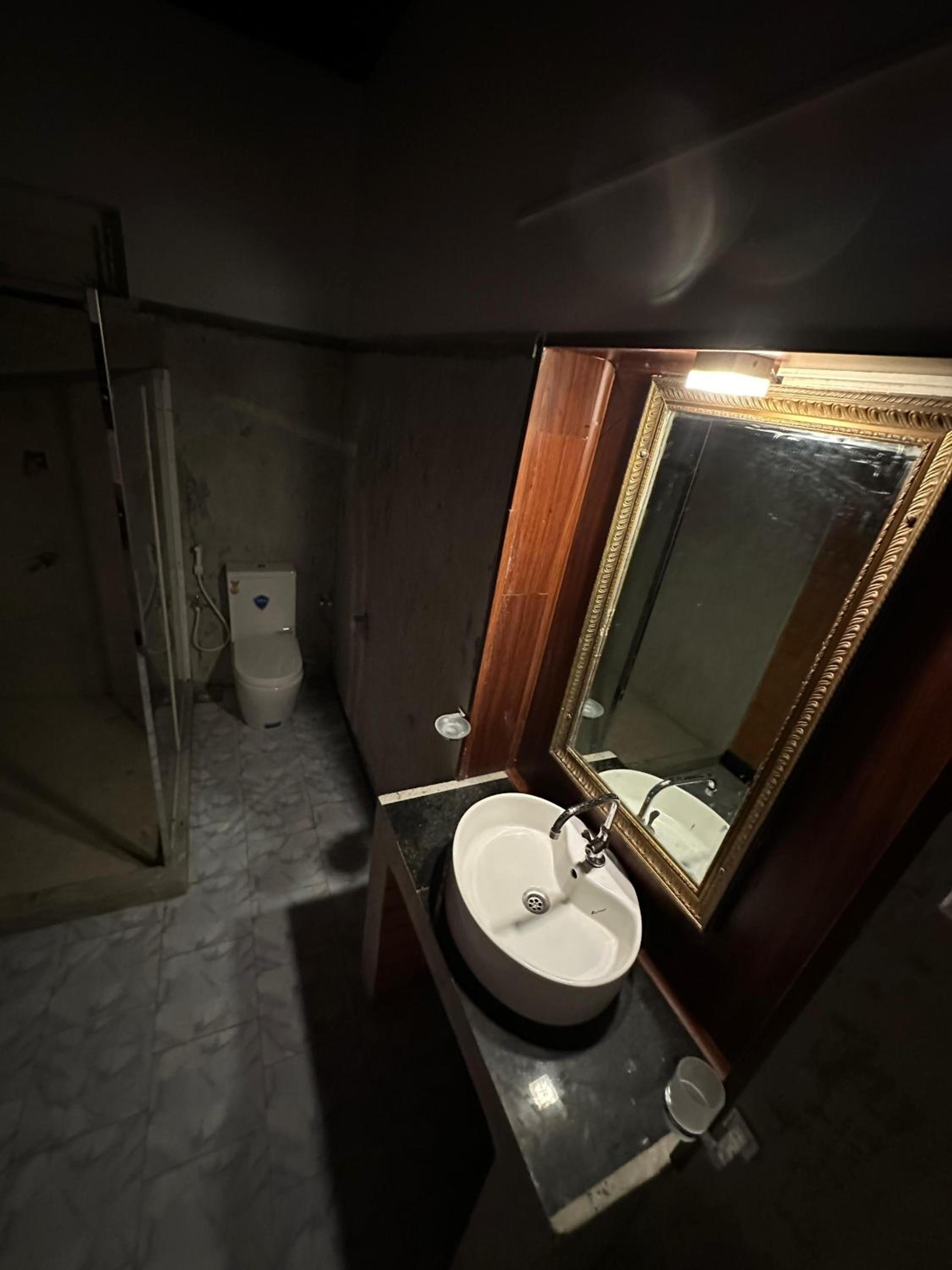Deluxe Double or Twin Room photo 2