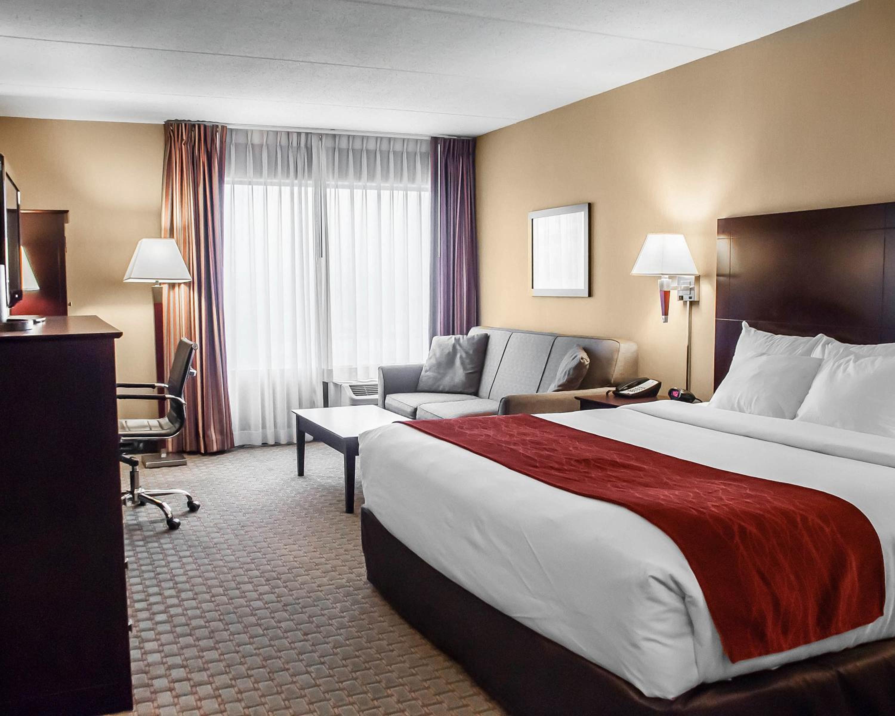 King Suite with Sofa Bed - Non-Smoking - Photo 6