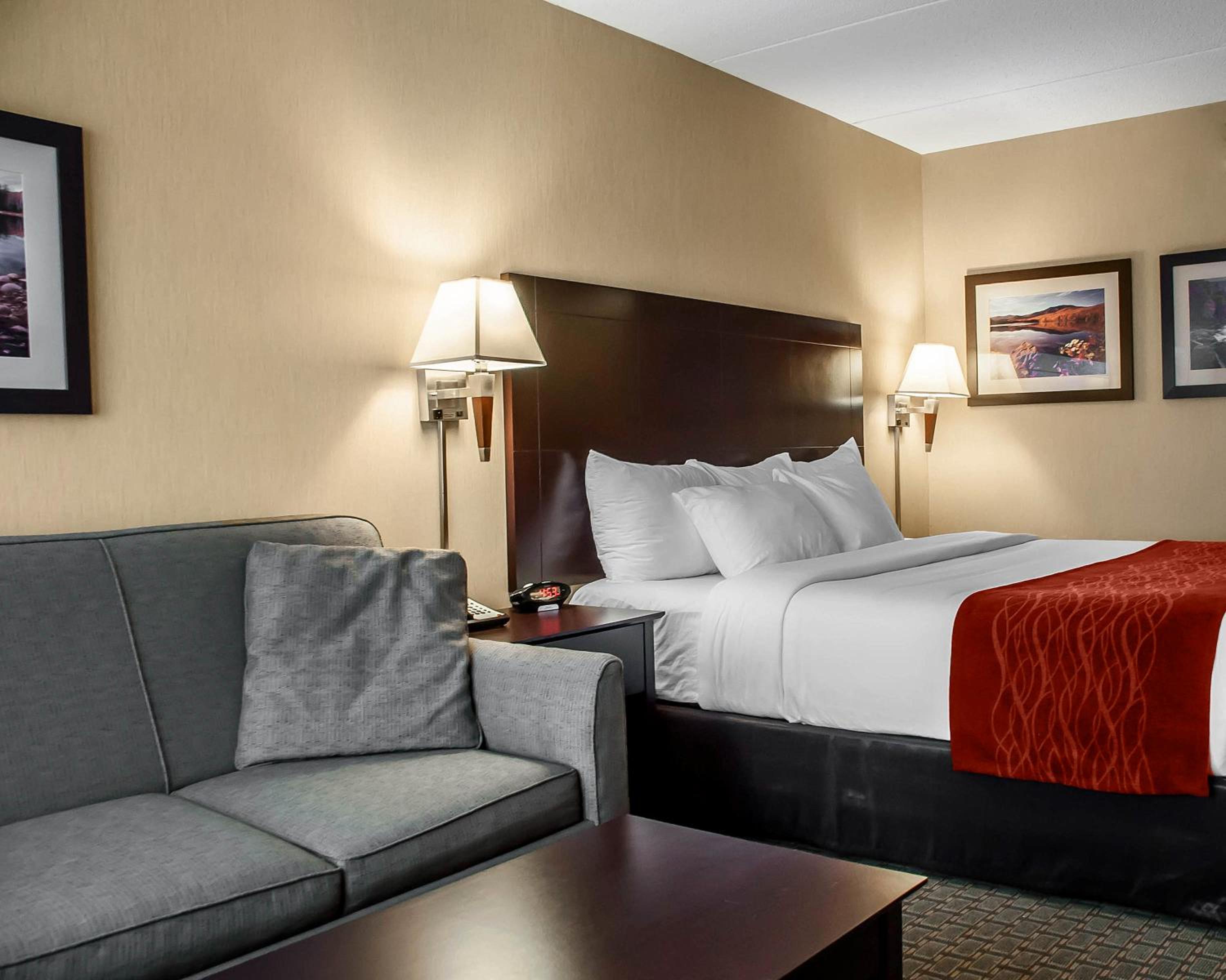 King Suite with Sofa Bed - Non-Smoking - Photo 4