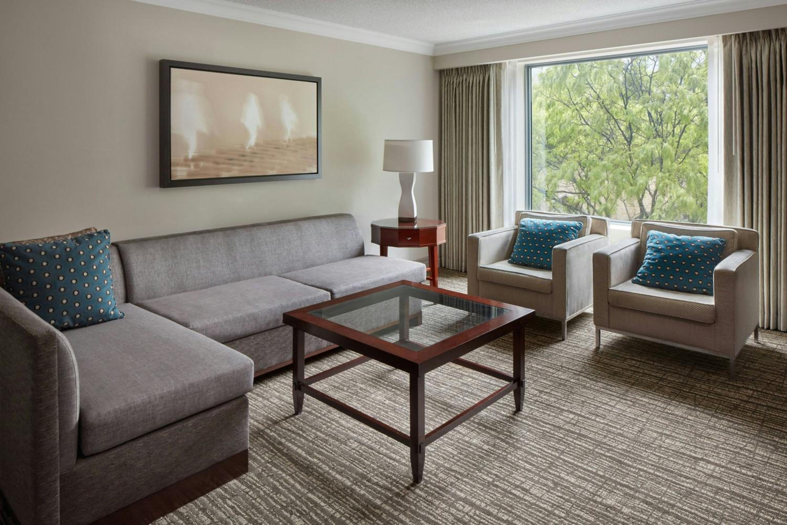 Deluxe One-Bedroom King Suite with Sofa Bed