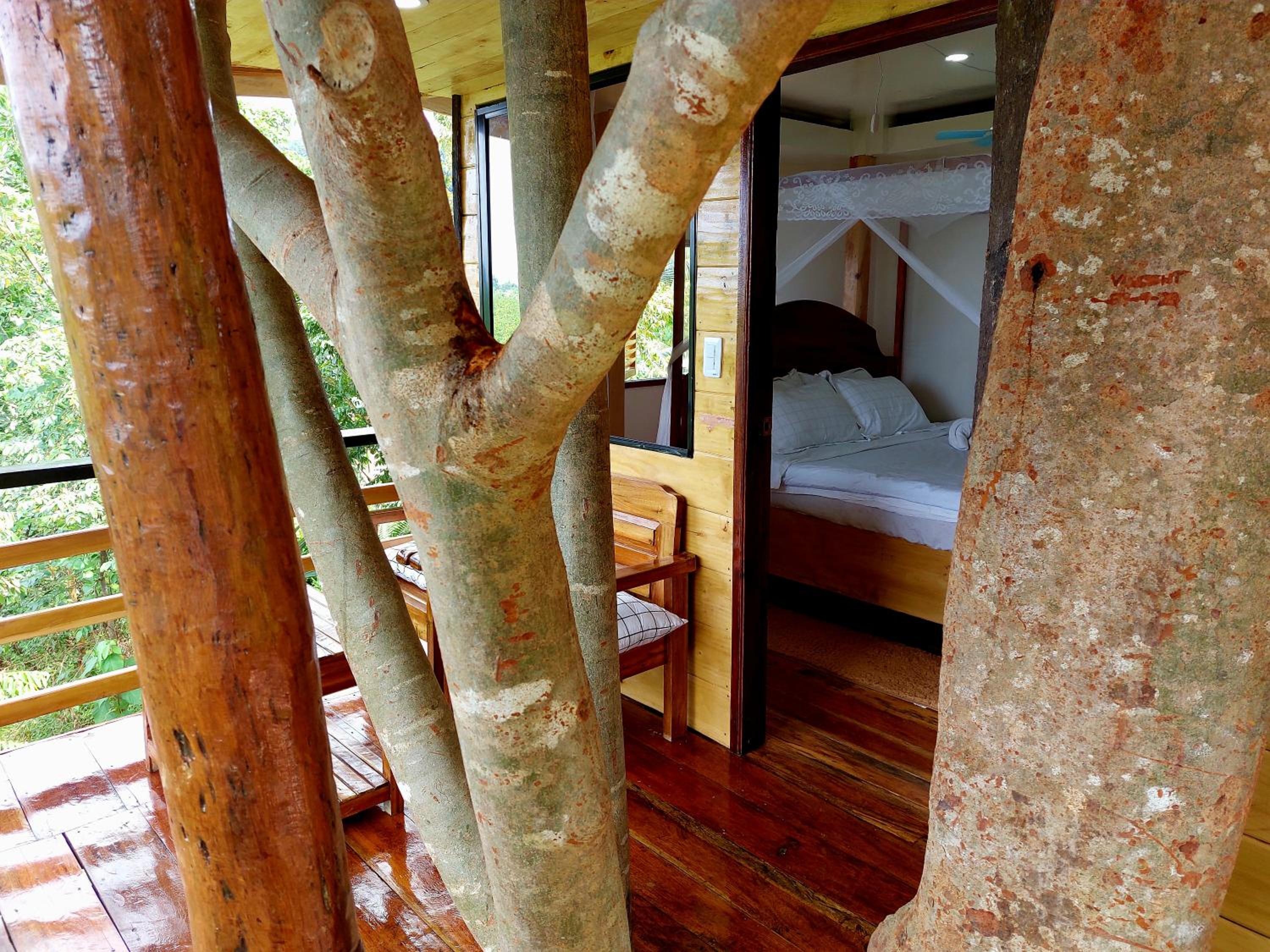 Deluxe Bungalow - Photo 5