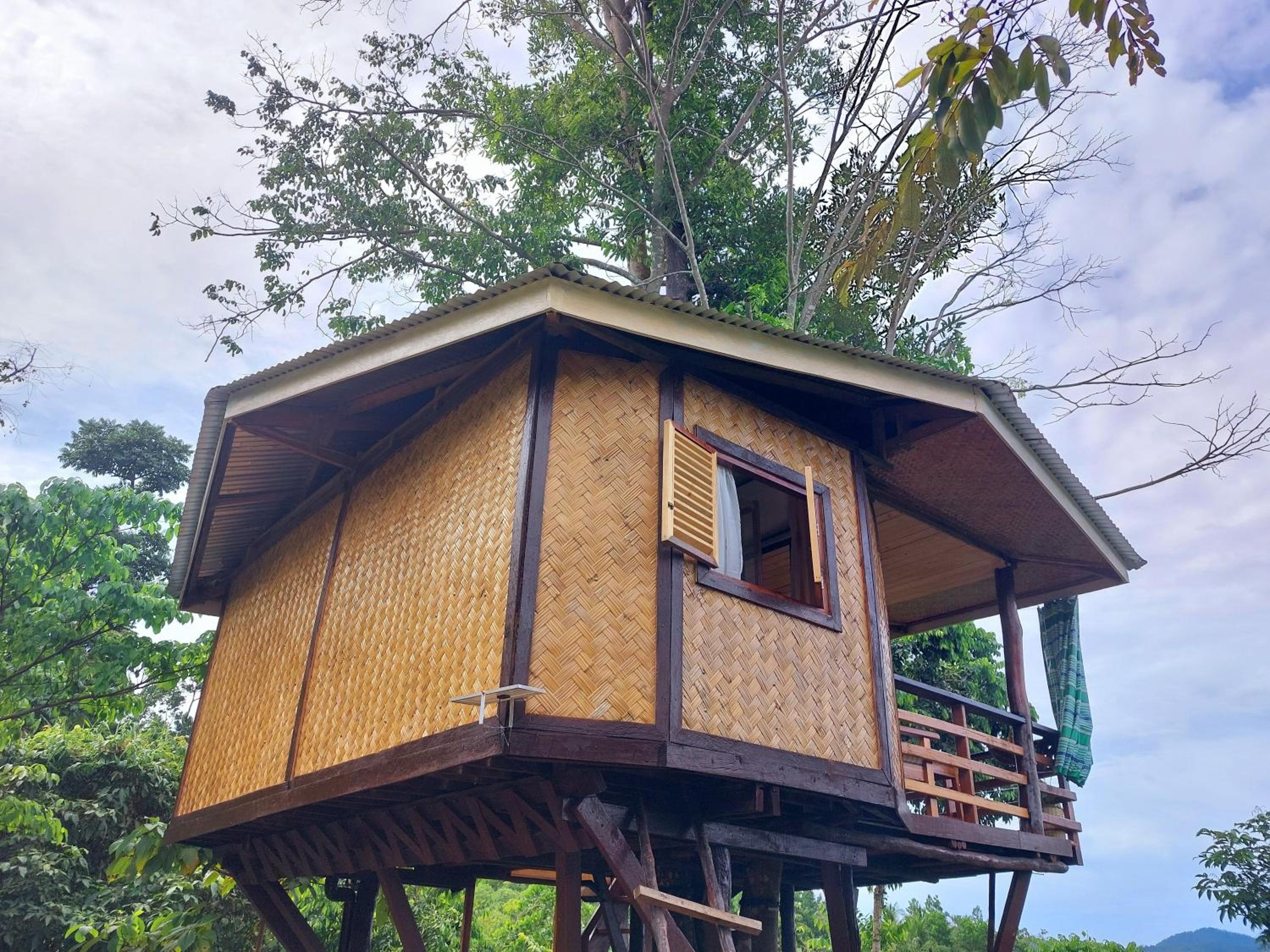 Deluxe Bungalow - Photo 6