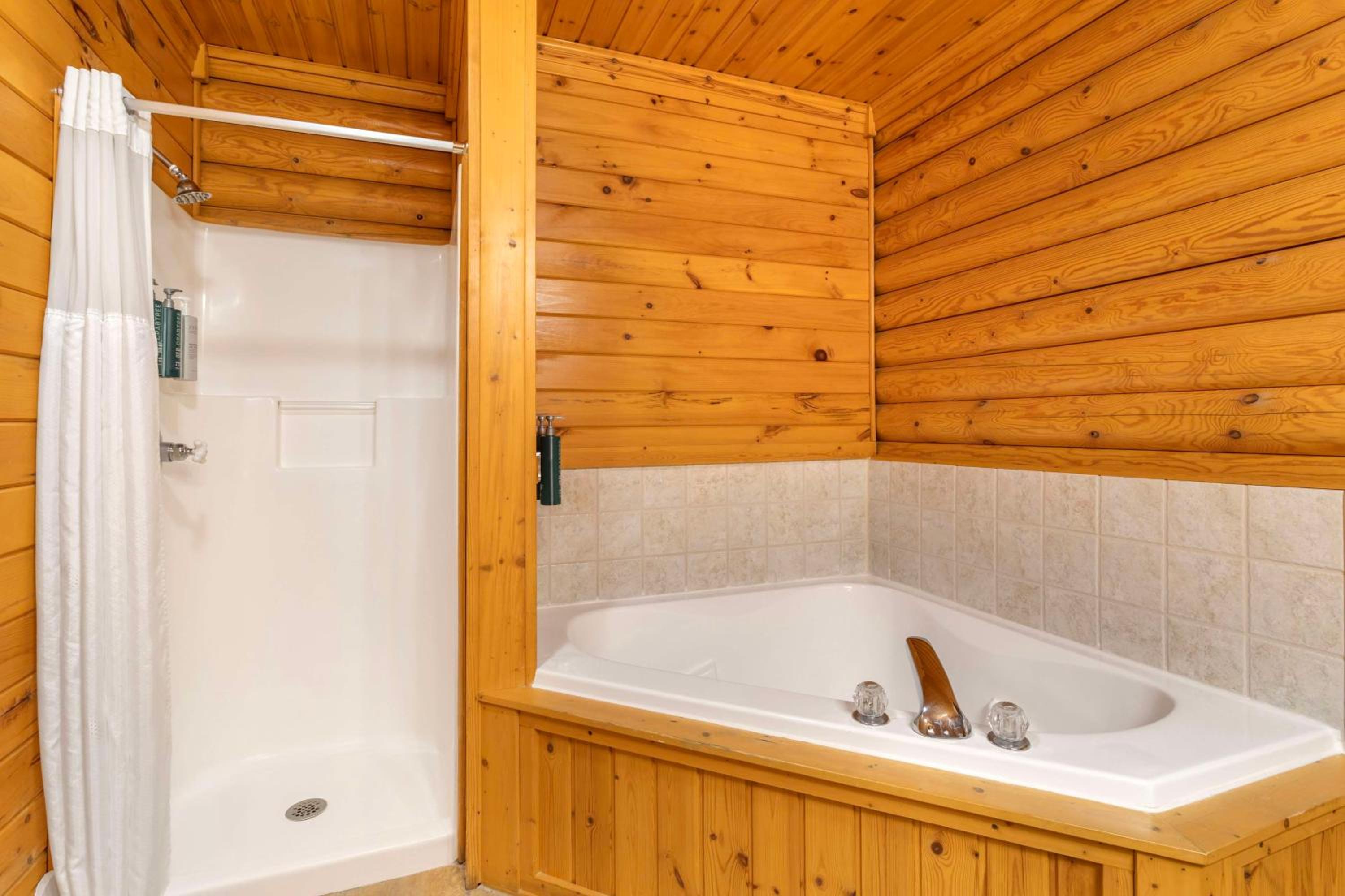 2 BEDROOM CABIN WITH 2 QUEEN BEDS photo 2