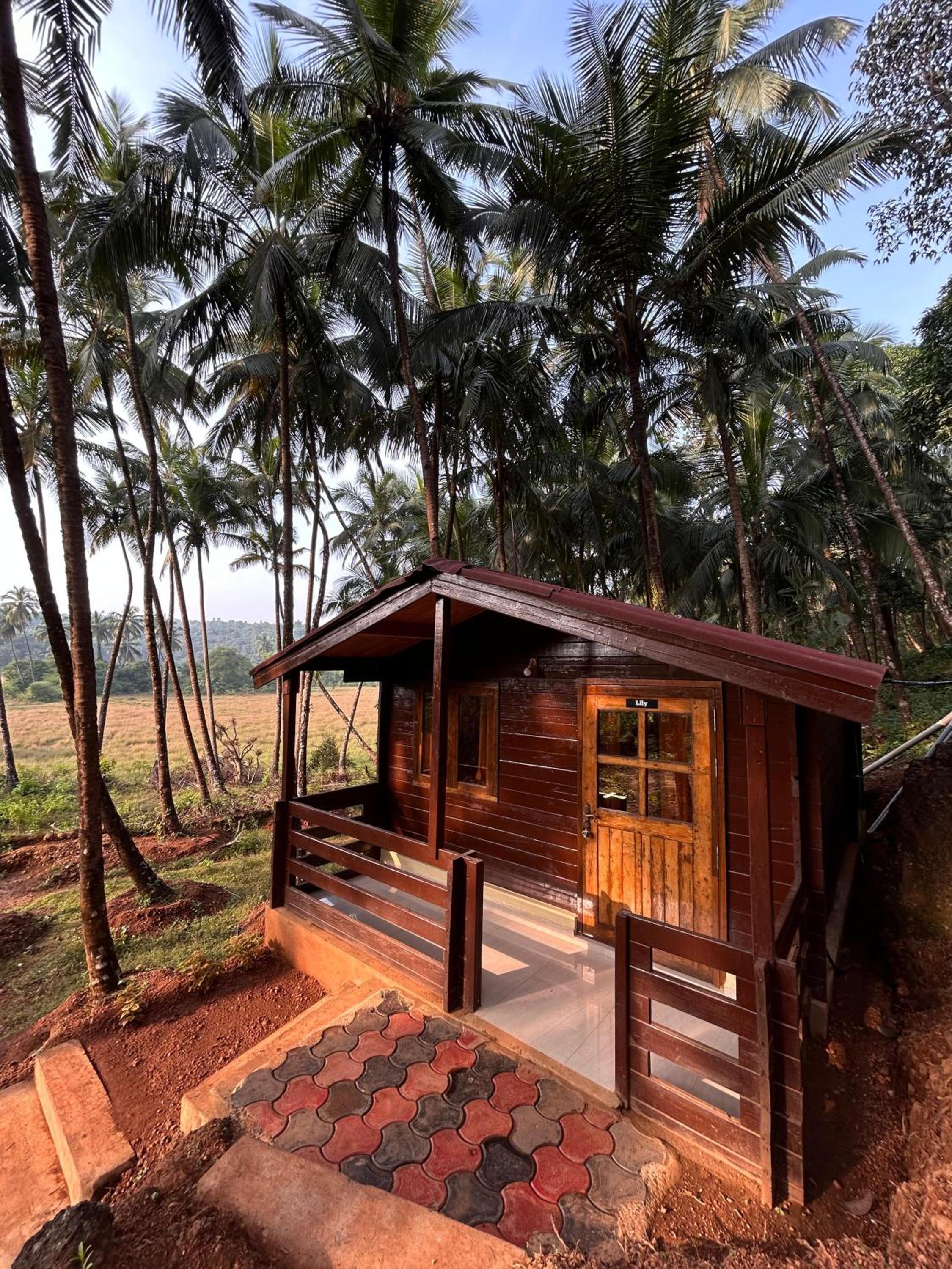Double Room with Garden View photo 1